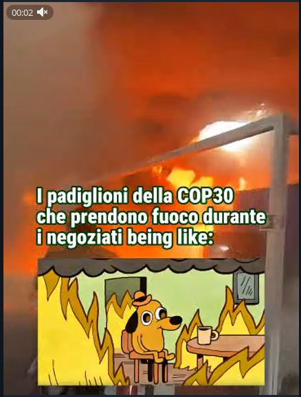 Un meme con lo sfondo dei padiglioni della COP30 che bruciano e sotto l'immagine del celeberrimo meme "This is fine" col cagnolino giallo.
La scritta:
I padiglioni della COP30 che prendono fuoco durante i negoziati being like:

Immagine presa dal canale telegram di fridays for future