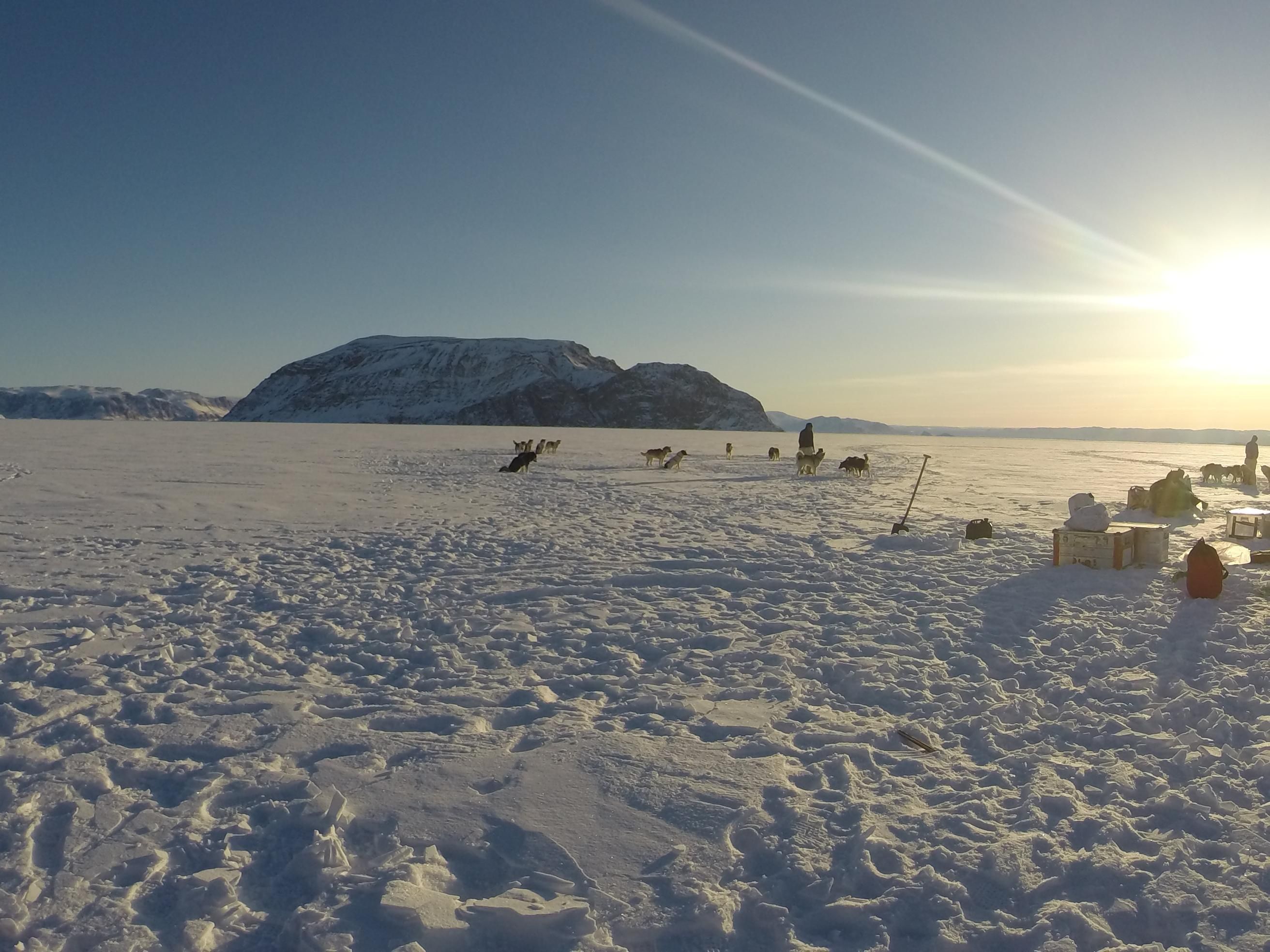 low sun over in the extreme right, rising over snow covered sea ice with a rounded mountain in the background. Large boxes of equipment are scattered around and a Greenlandic hunter attends to sled dogs.  