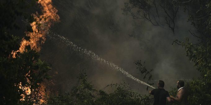 Immagine relativa all'articolo