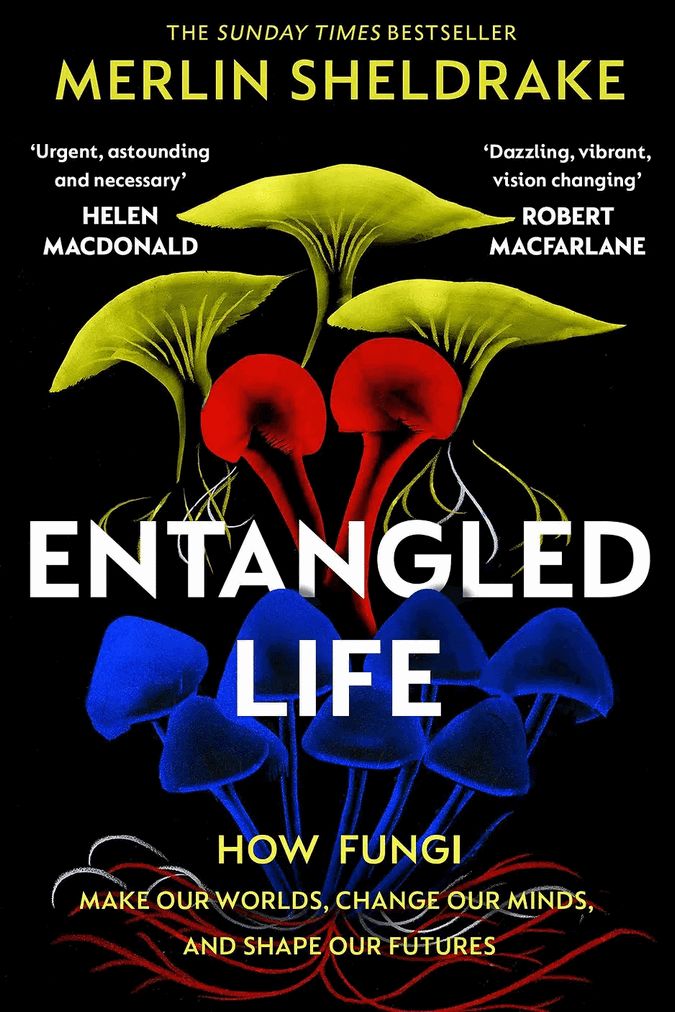 Cover of Merlin Sheldrake's book Entangled Life: How Fungi Make Our Worlds, Change Our Minds, and Shape Our Futures. It's black, with white and yellow text, and an illustration by Job Wouter of various fungal bodies and mycelium in bold yellow, red, blue, and white. Quotes by Helen MacDonald: "Urgent, astounding and necessary"; and Robert Macfarlane: "Dazzling, vibrant, vision changing".