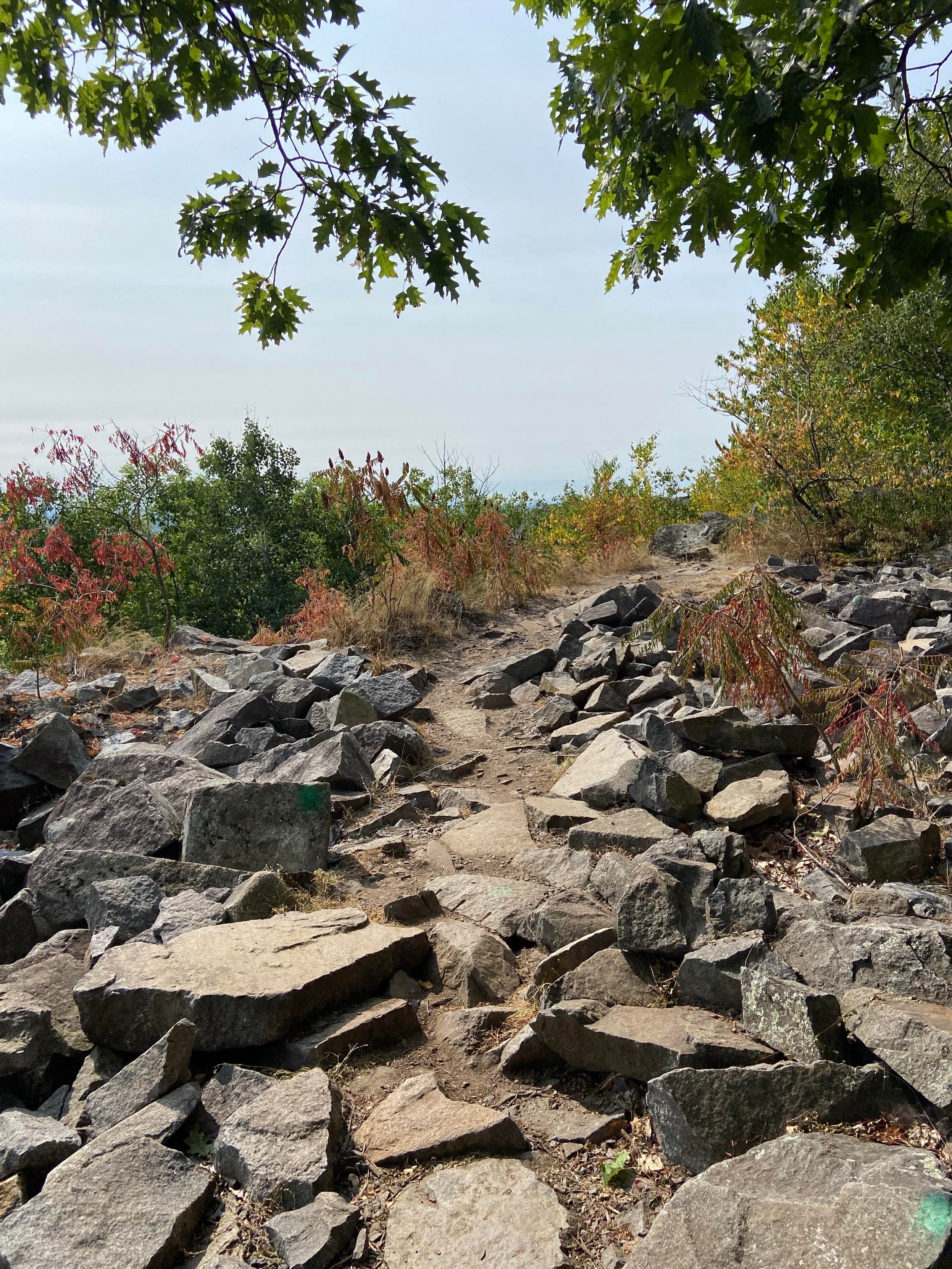 We're looking out from under a canopy of green, to where the path opens out into the old quarry. It's dusty and rocky, with a path through a bunch of jagged and unstable rocks