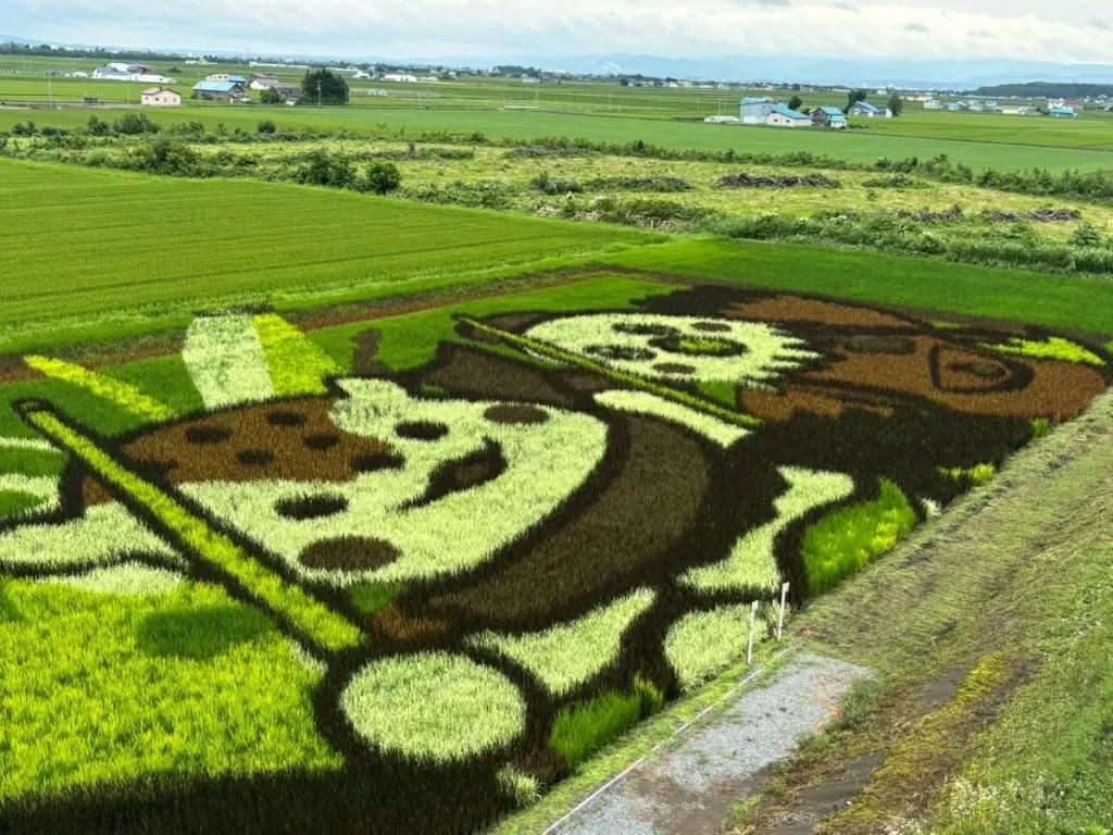 Asappi, Asahikawa’s polar bear/spotted seal mascot character, and Attakasu-kun, the hawk goodwill ambassador for Takasucho, the district of Asahikawa that includes the rice paddy art field.