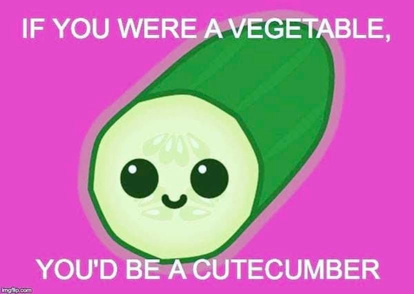 A drawing of a cucumber with a cute cartoon face 

Text says If you were a vegetable, you’d be cutecumber ￼