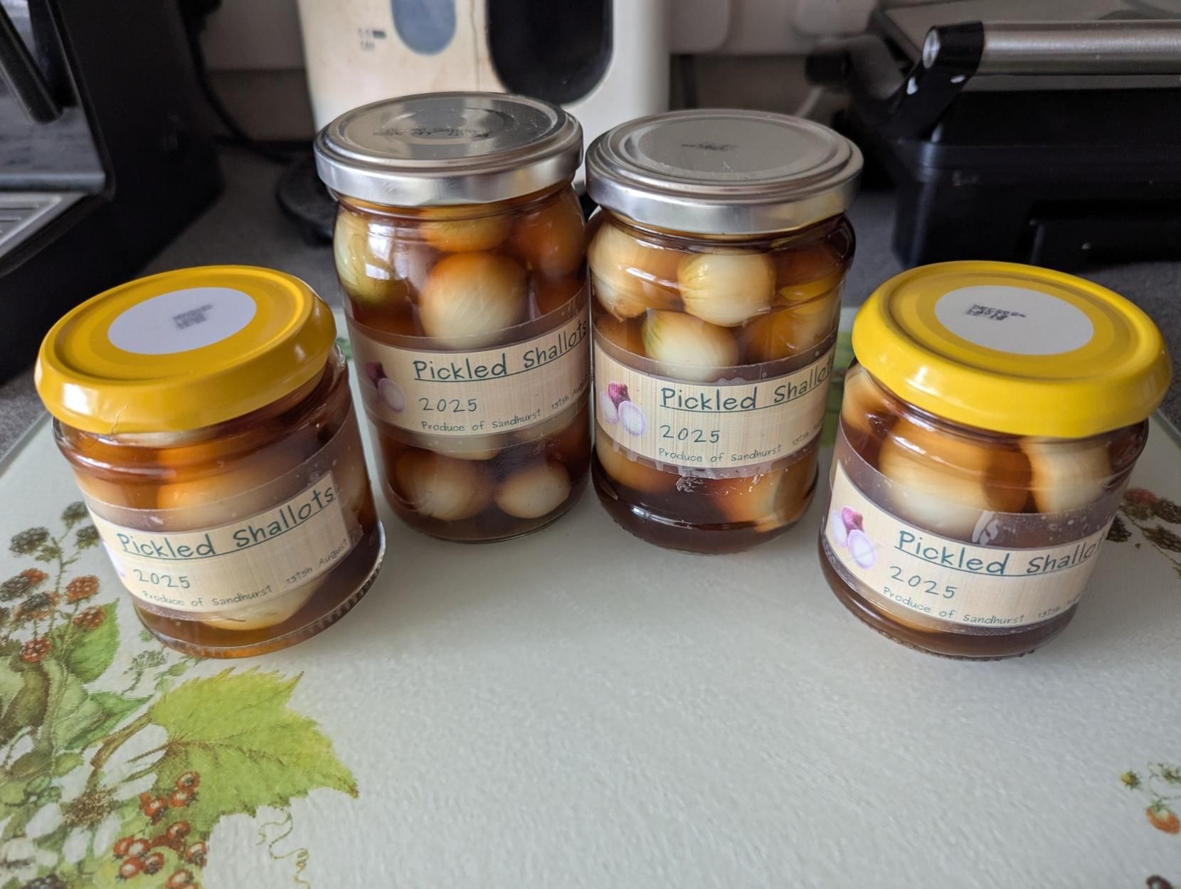 Four jars of pickled shallots in a row, with printed labels reading "Pickled Shallots 2025". The outer two jars have yellow lids, the inner two are taller with silver lids.