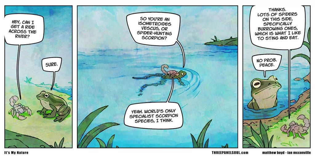 A three panel comic strip showing the fable of The Scorpion and The Frog. But instead of killing the frog the scorpion says "Thanks, lots of spiders on this side, specifically burrowing one, which is what I like to sting and eat." and the frog answers "no prob. Peace!"