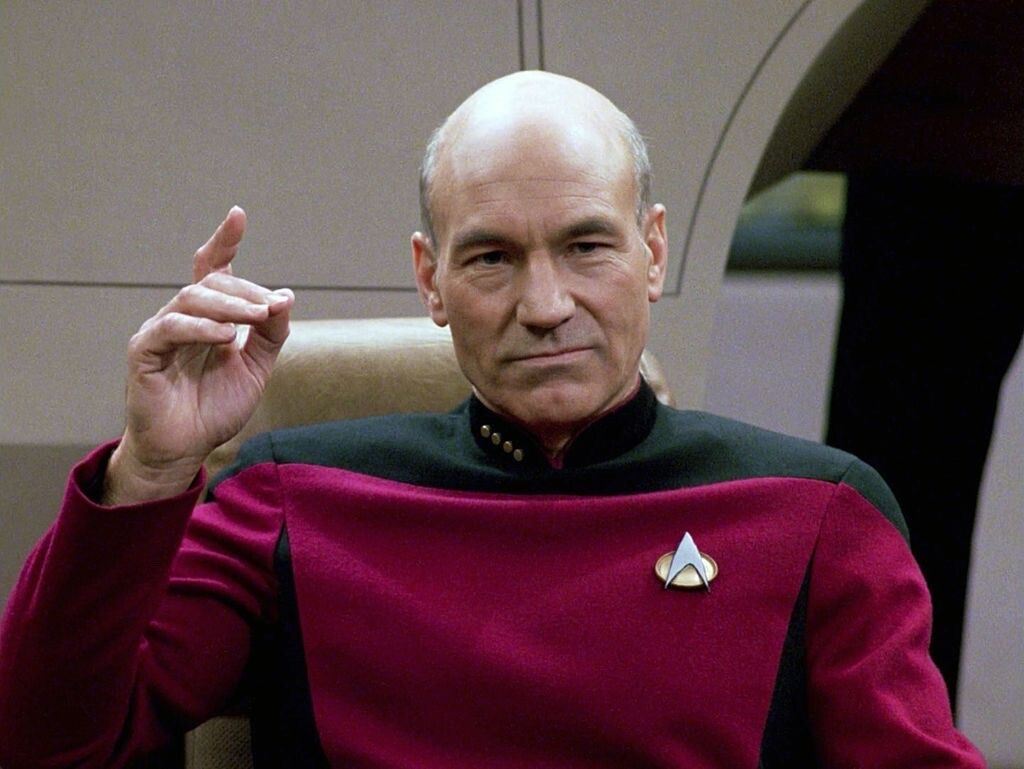 Patrick Stewart as Captain Picard