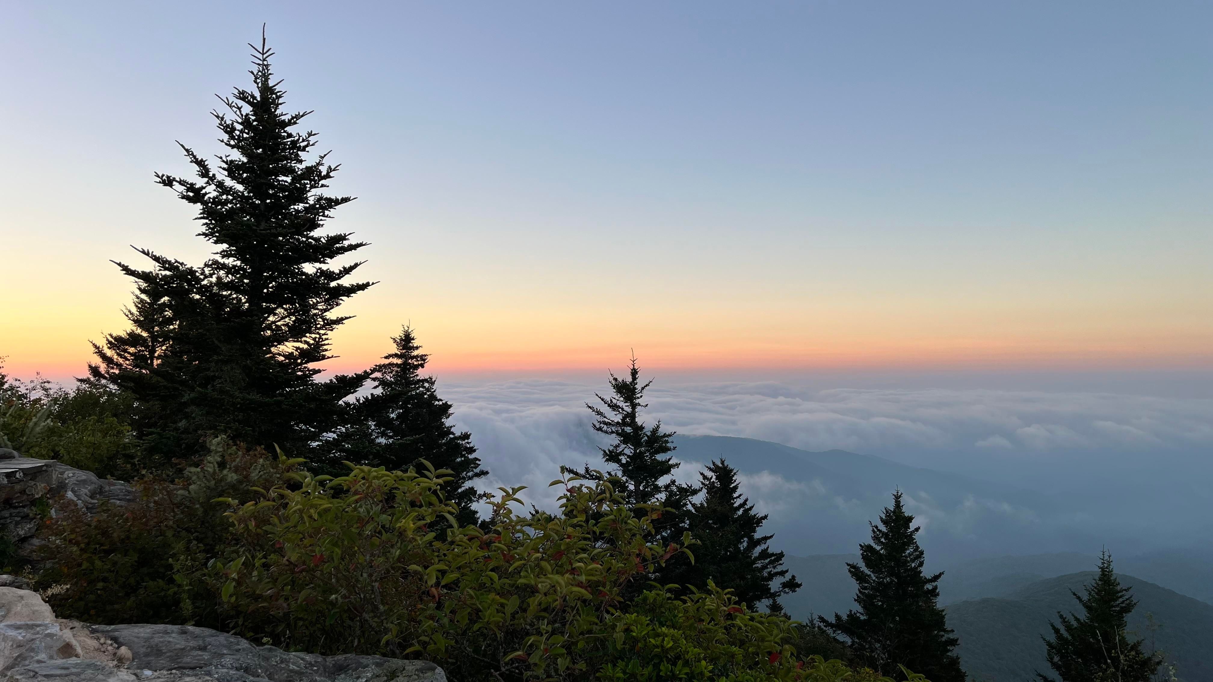 A view from the top of the Devil's Courthouse near Asheville, along the Blue Ridge Parkway in Asheville, NC from August 2023.  We cannot currently get to this spot due to tremendous damage to the road (and doubtless the trails) due to Helen last September.

This was about dawn that day, although the sun is actually coming up to my left behind the trees and outcropping.  The outlook here is at 5720' and the sides down into the gully are home to nesting Pergrine Falcons, and tightly controlled to keep people out.  The walk up is quite steep, although much of it is macadam.

Some spruce trees line the view, and the valley is full of fog, while color begins in the distance, shading from red to orange to yellow to green and then blue.  We were a few minutes later than I'd hoped, but still a gorgeous spot.
