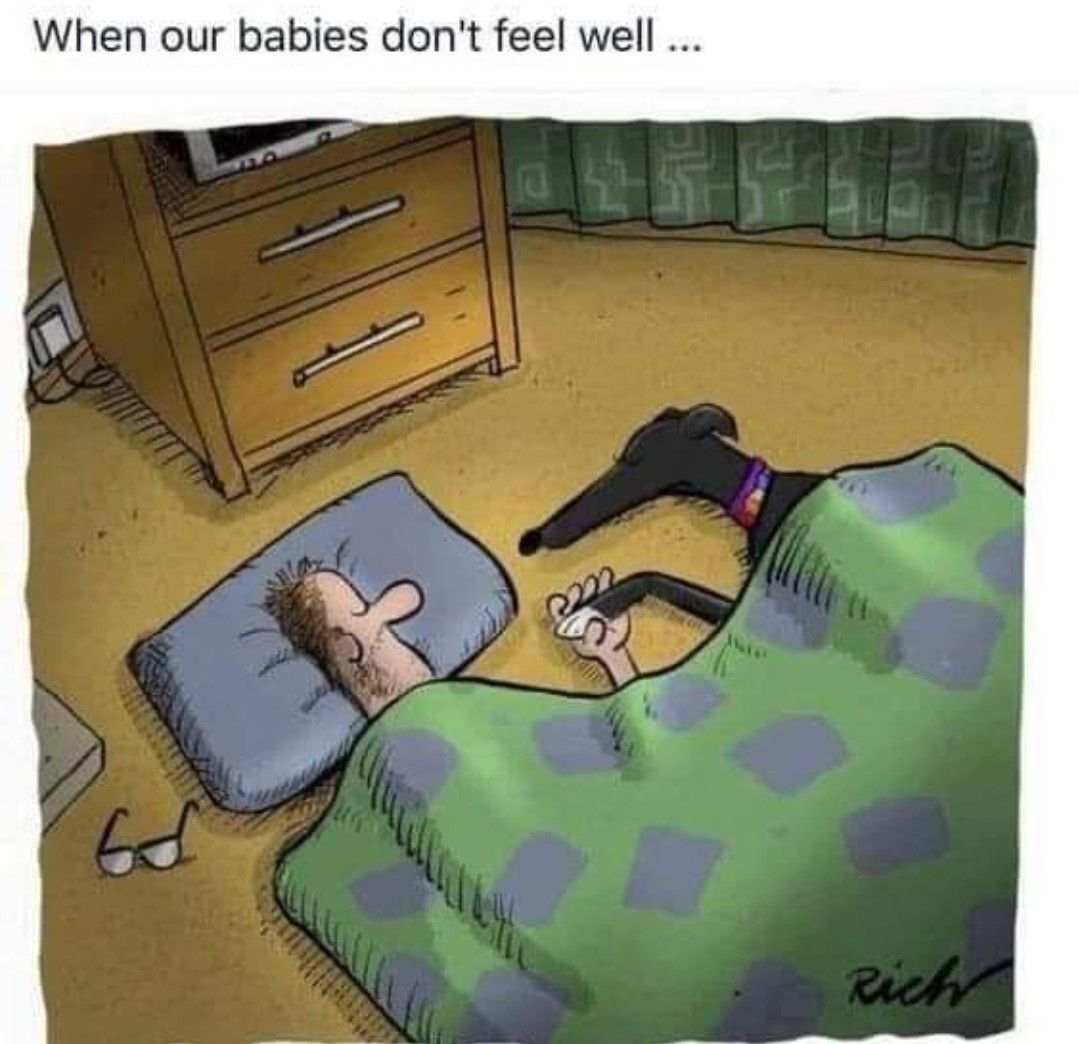 Piirroskuva ihmisestä ja koirasta nukkumassa lattialla. Kuvateksti vapaasti käännettynä: kun vauvelimme eivät voi hyvin