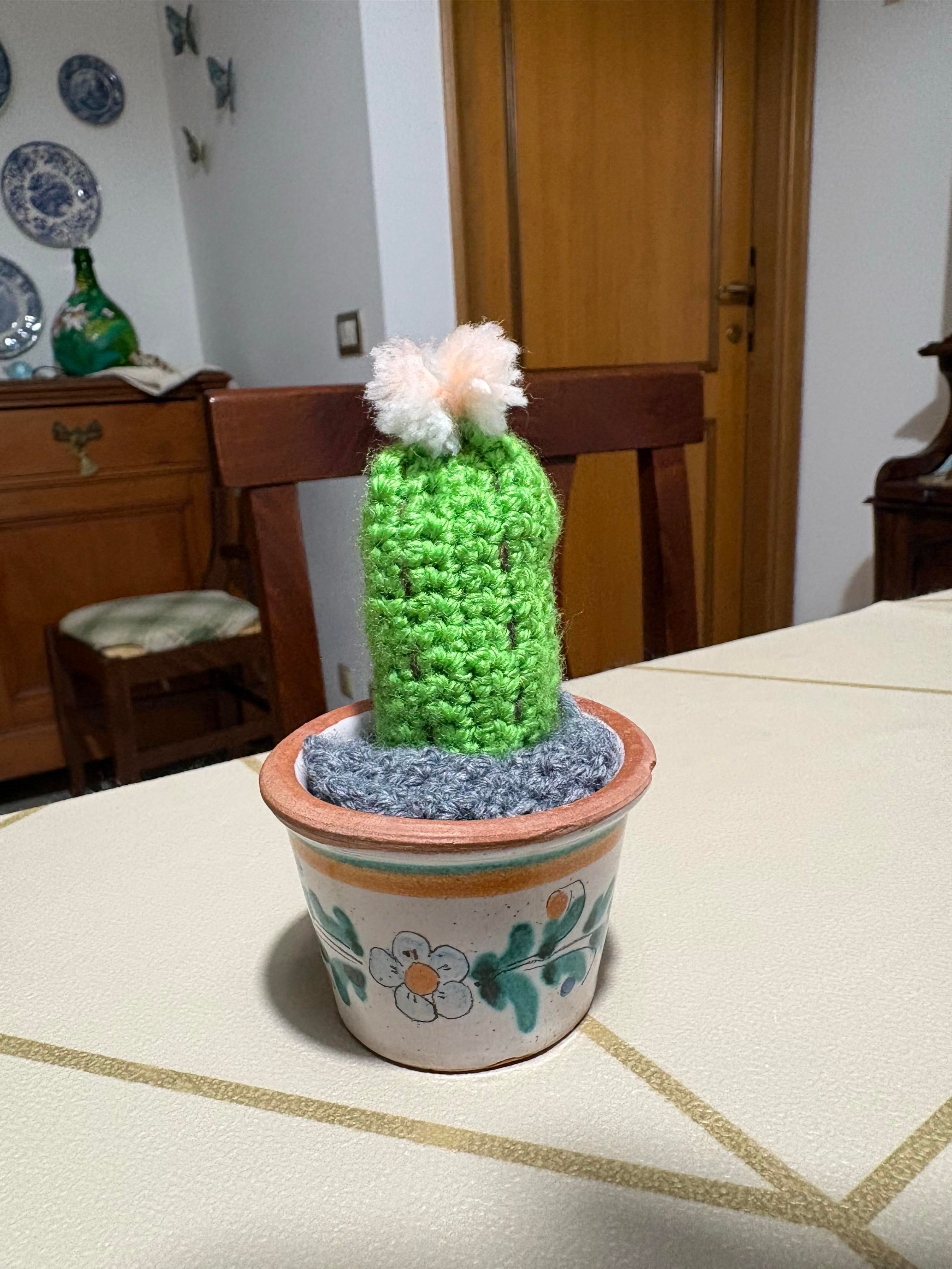 Piantina grassa fatta all’uncinetto in un vasetto di terracotta