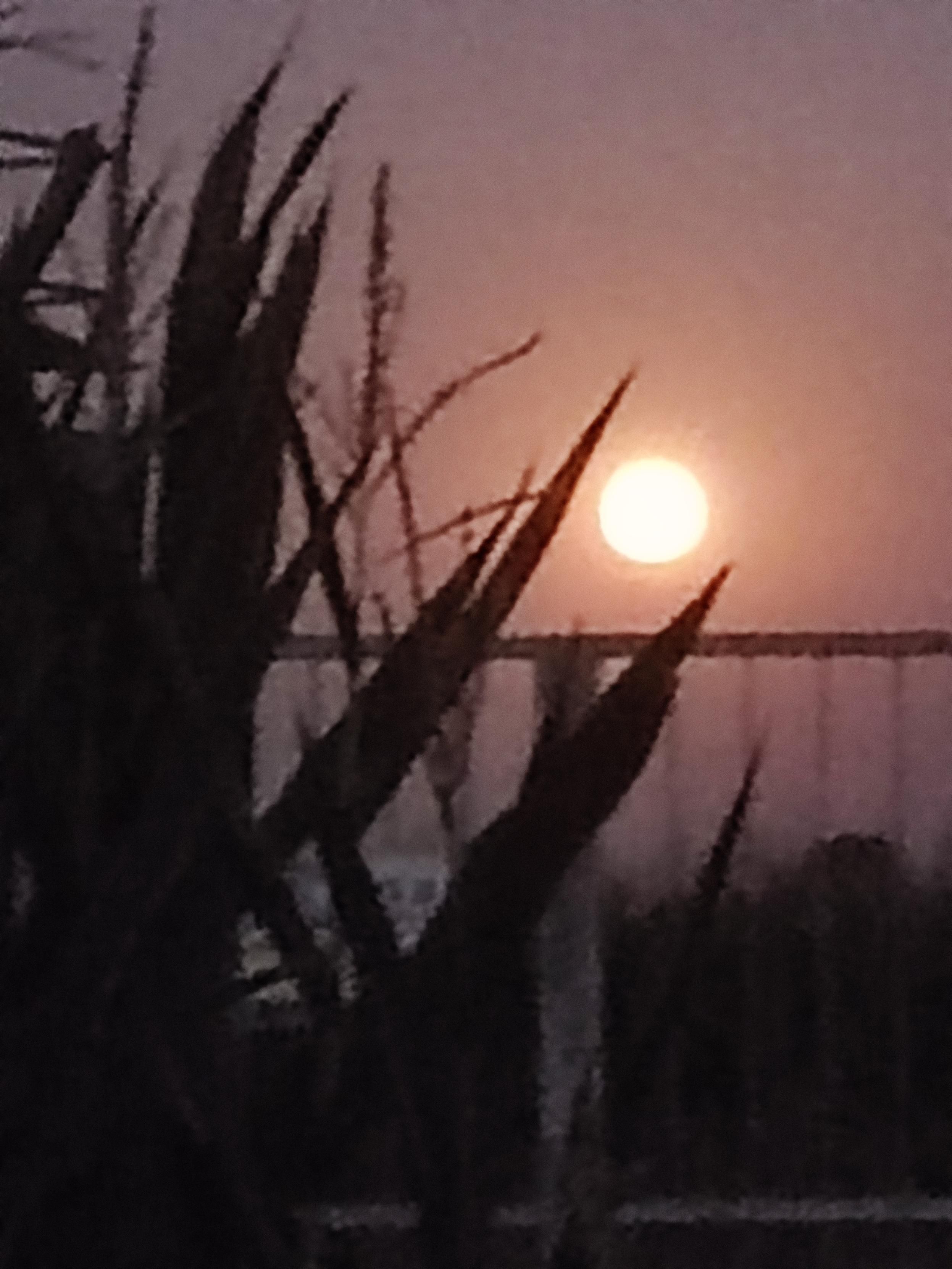 luna piena
ph. 9 ago.2025