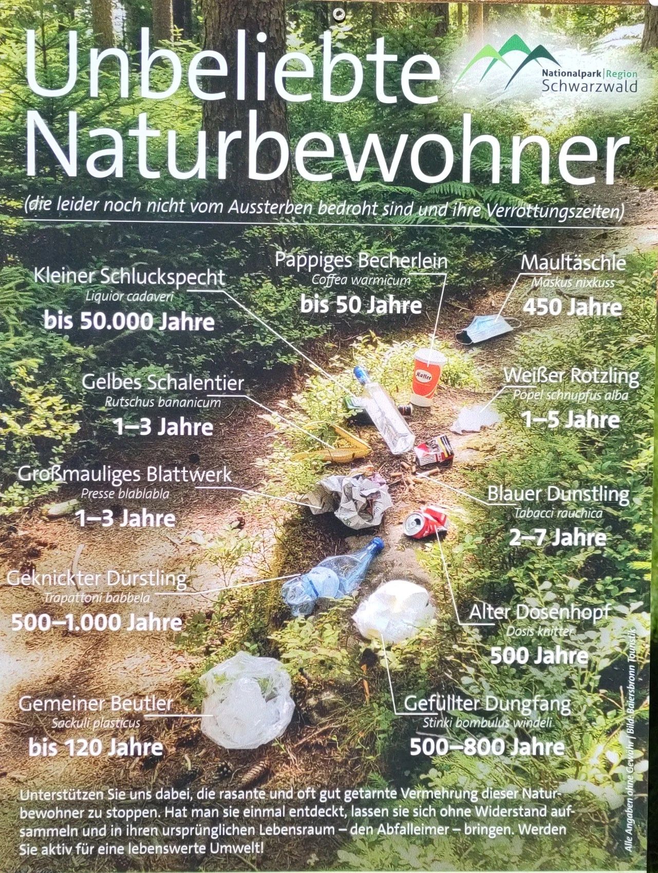 Schild "Unbeliebte Waldbewohner"
Abgebildet sind diverse Abfälle wie Zigarettenkippen, Papiertaschentuch, Zeitungen/Zeitschriften, Bananenschale, Kunststoffverpackungen, Kunststoff- und Glasflaschen, Pappbecher, medizinische Mund-Nasebedeckung, Blechdosen usw. mit der Angabe der jeweiligen Verrottungszeit.
Diese beträgt zwischen 1-3 (Bananenschale) und 50.000 Jahre (Glasflasche)
