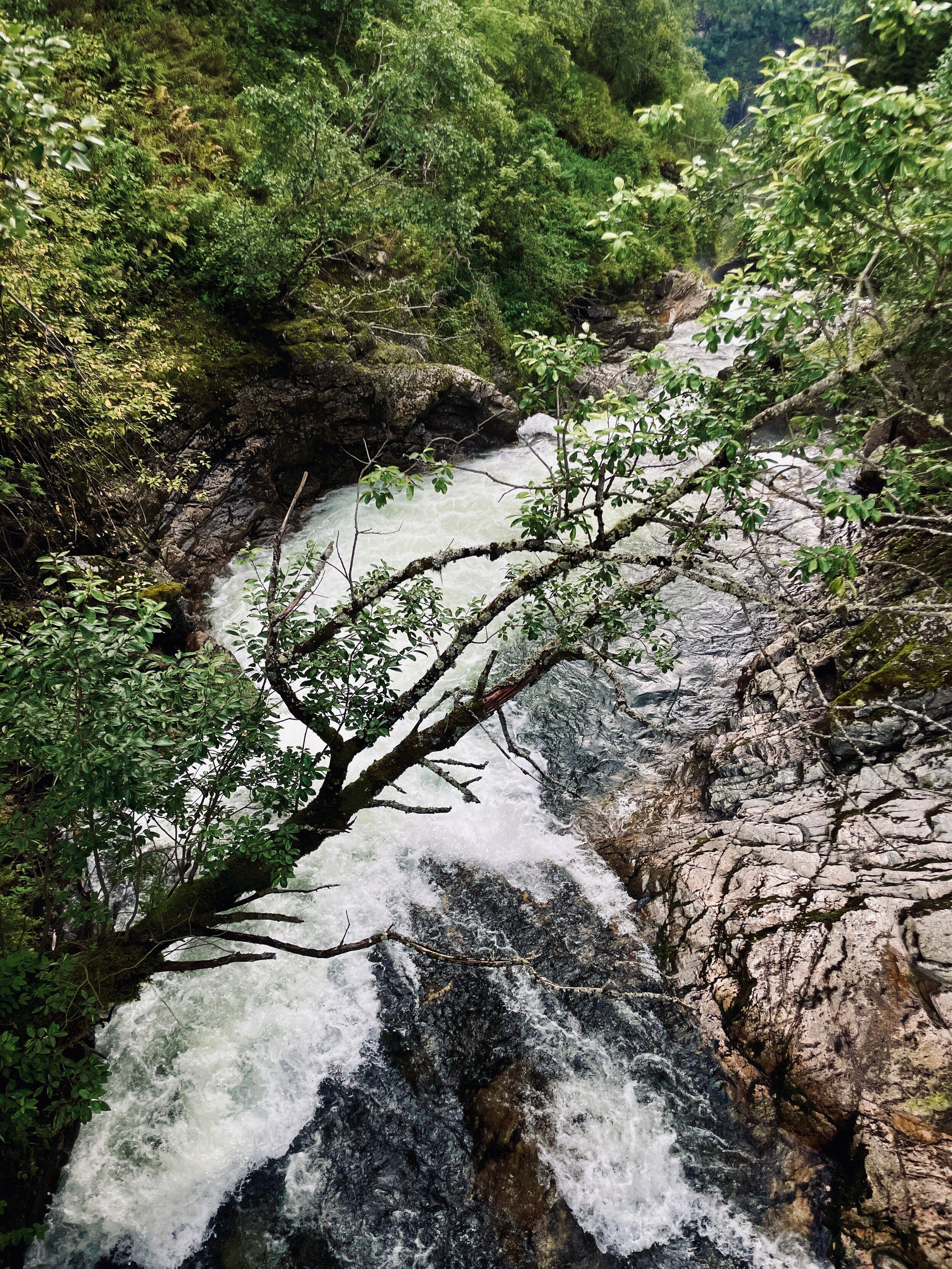 Downstream look at a fast whitewater stream, almost waterfall, from a bridge downward. A leaning tree over the water hanging in the foreground