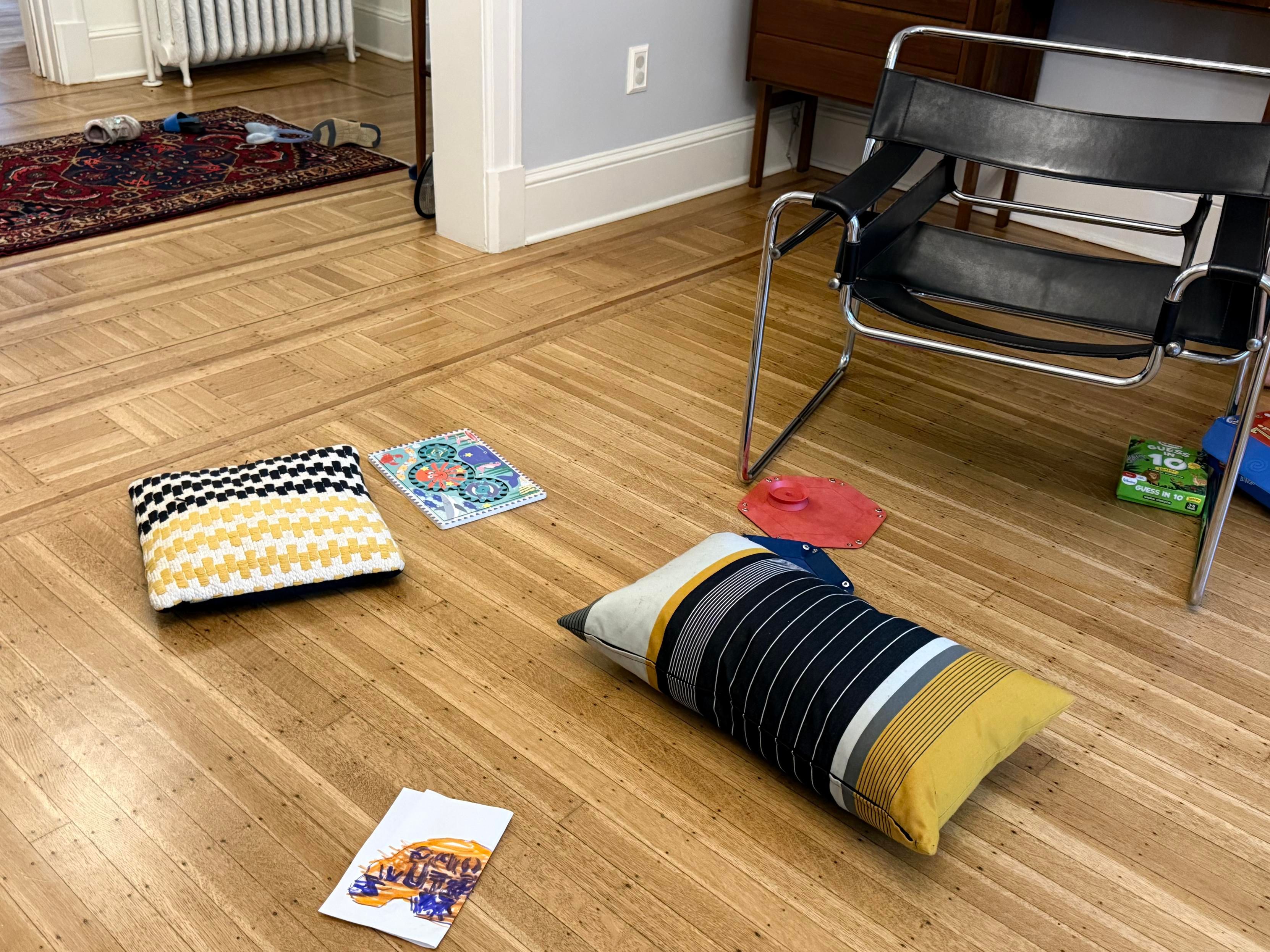 A couple pillows and some other stuff on my living room floor. 