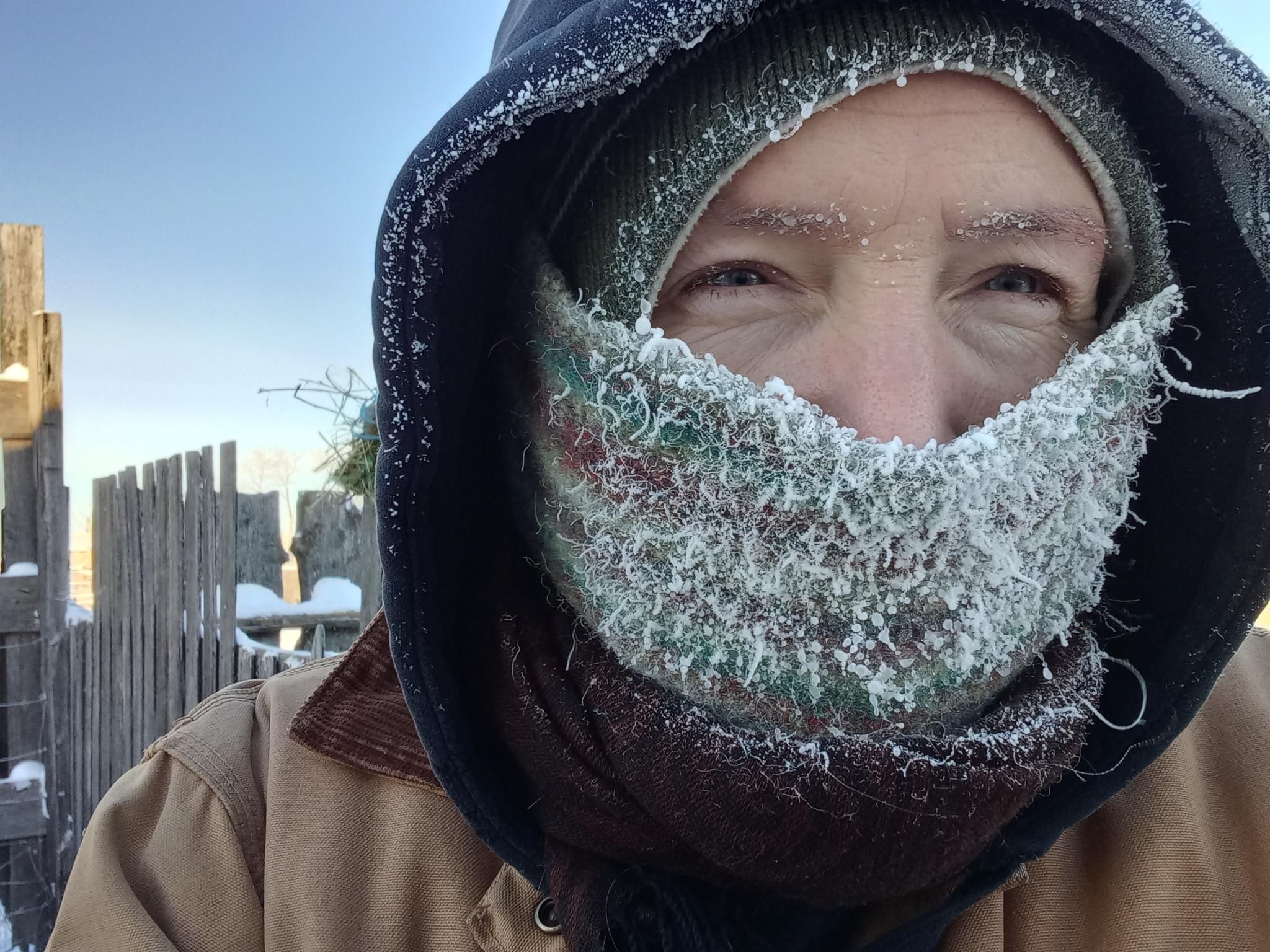 Close up picture of my face, but mostly covered with lots of clothes which are covered by ice crystals from my breath.  I've got a stripey neck-tube covering my nose and mouth, totally covered with ice crystals, I've got ice crystals growing on my eyebrows and eyelashes, and I've got ice crystals all over the hood on top of my hat.  In the background you can see snow on a tall wooden fence, and a blue sky above.