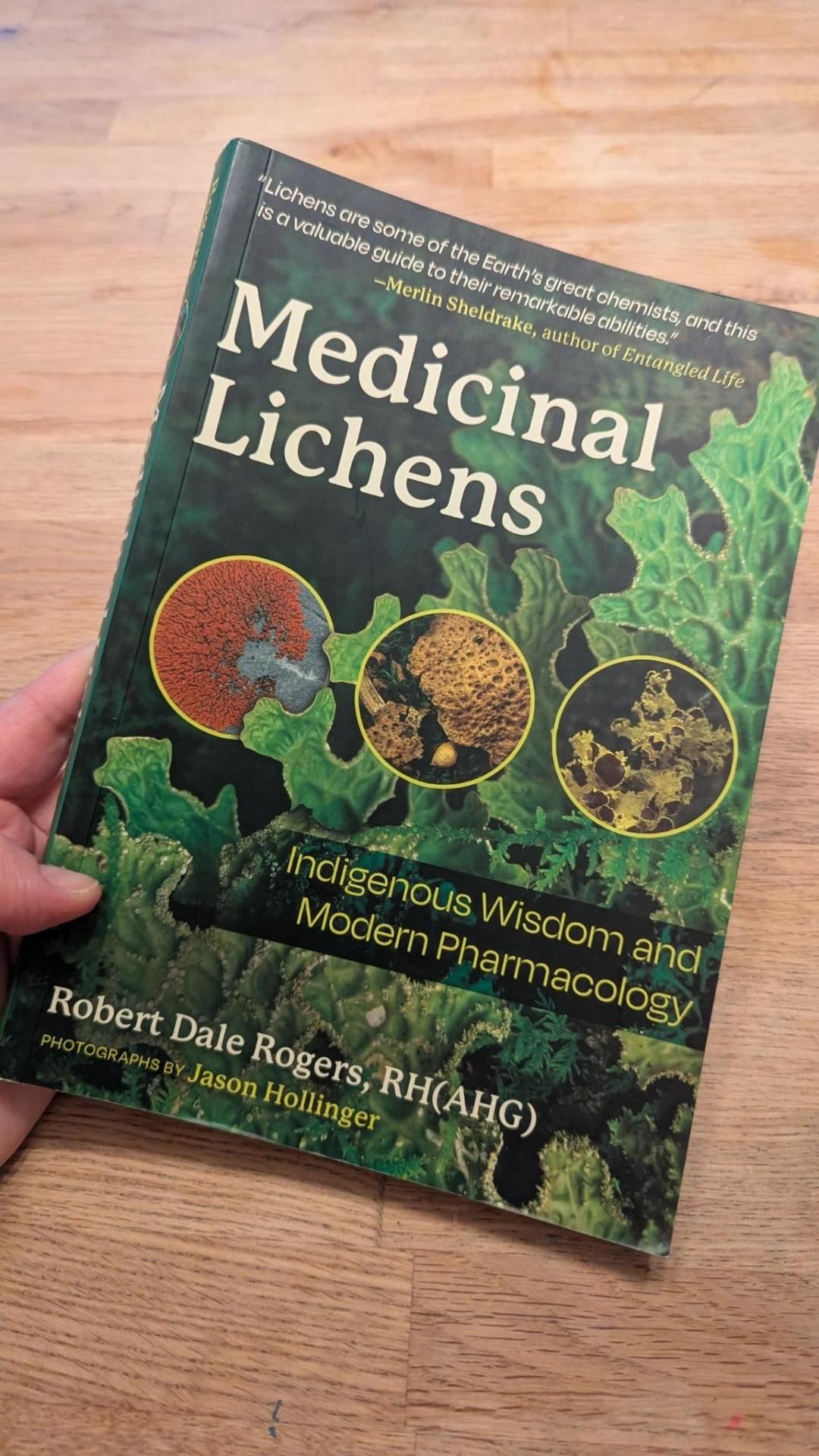 My hand holding up a book called Medicinal Lichens: Indigenous Wisdom and Modern Pharmacology, by Robert Dale Rogers, RH (AHG). Cover has photos of various lichens and a blurb from Merlin Sheldrake
