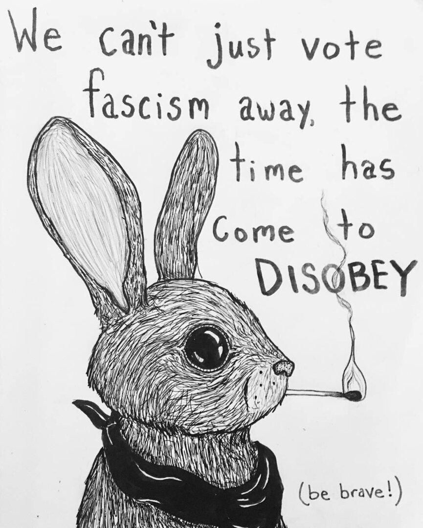 We cant just vote fascism away. the time has come to disobey. 