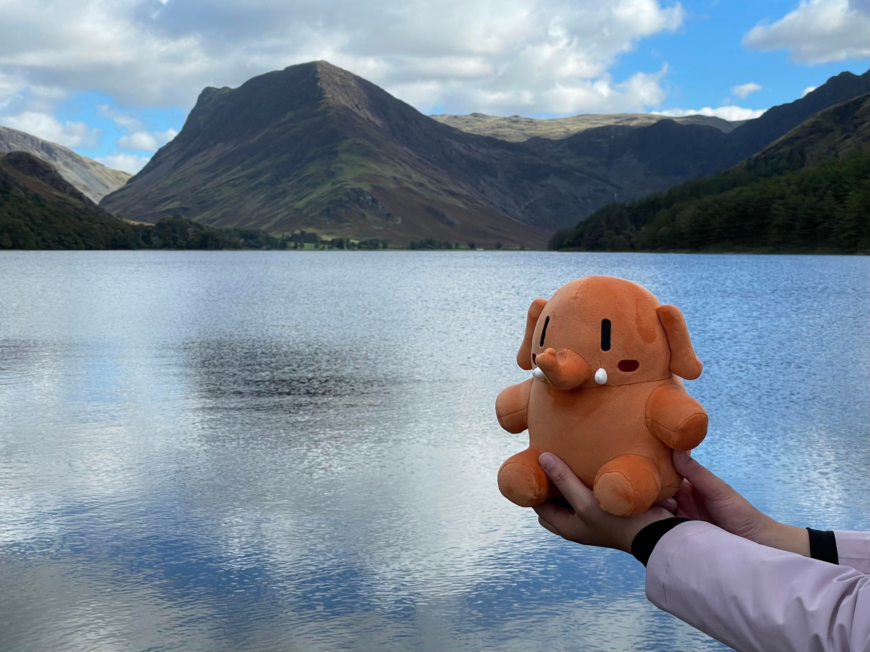 A small apricot colored Mastodon stuffed toy being held up in front of Buttermere. 