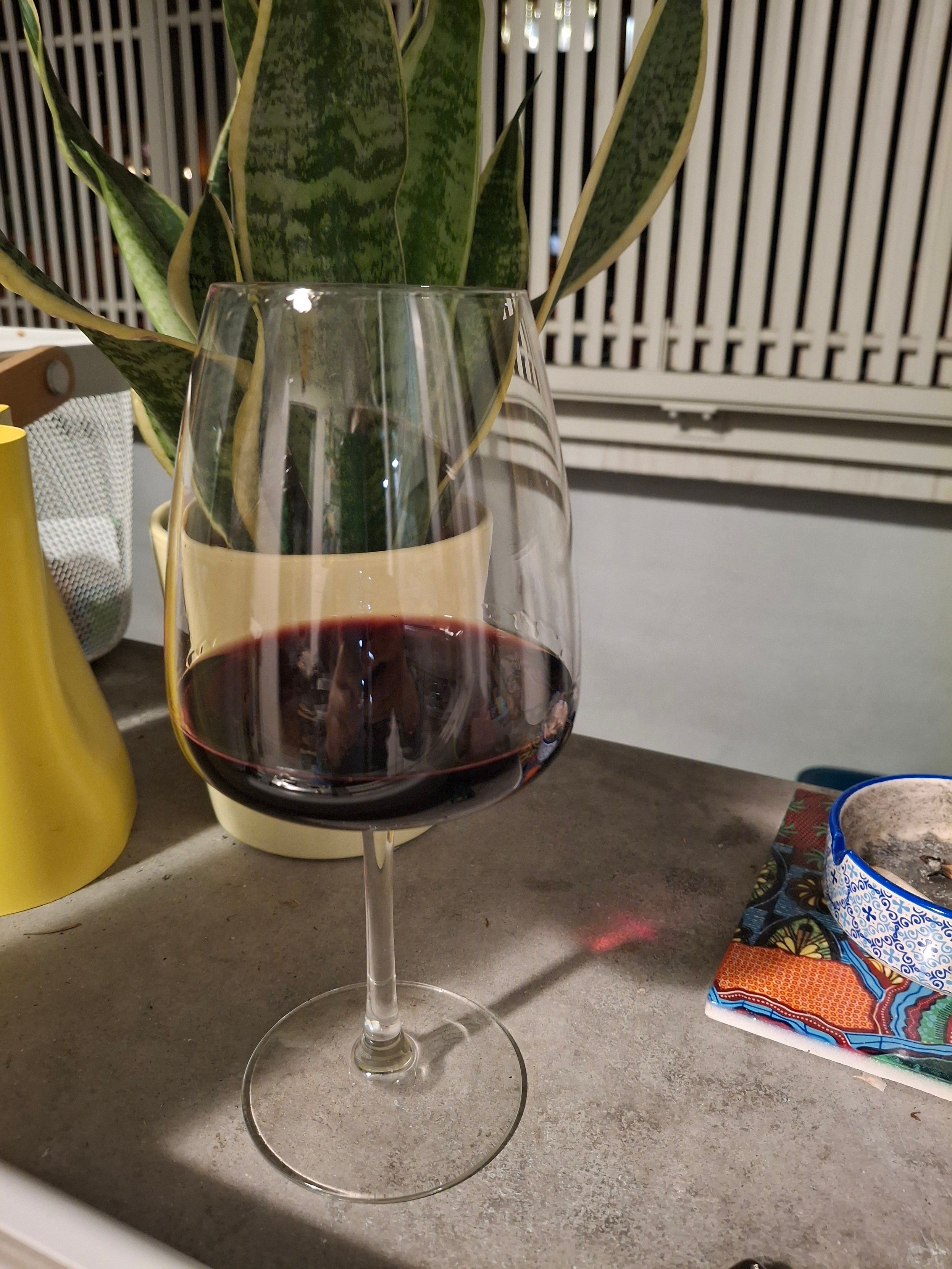 Un calice di vino rosso in primo piano, sullo sfondo una pianta di Sanseviera in un vaso giallo