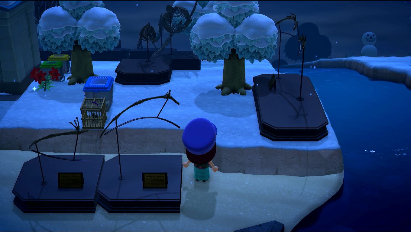 Foto sulla spiaggetta di lato al museo, ancora vari pezzi di fossili sparsi, qualche altra cosa per terra, e un pupazzo di neve che si nota in lontananza (fa molto scena)