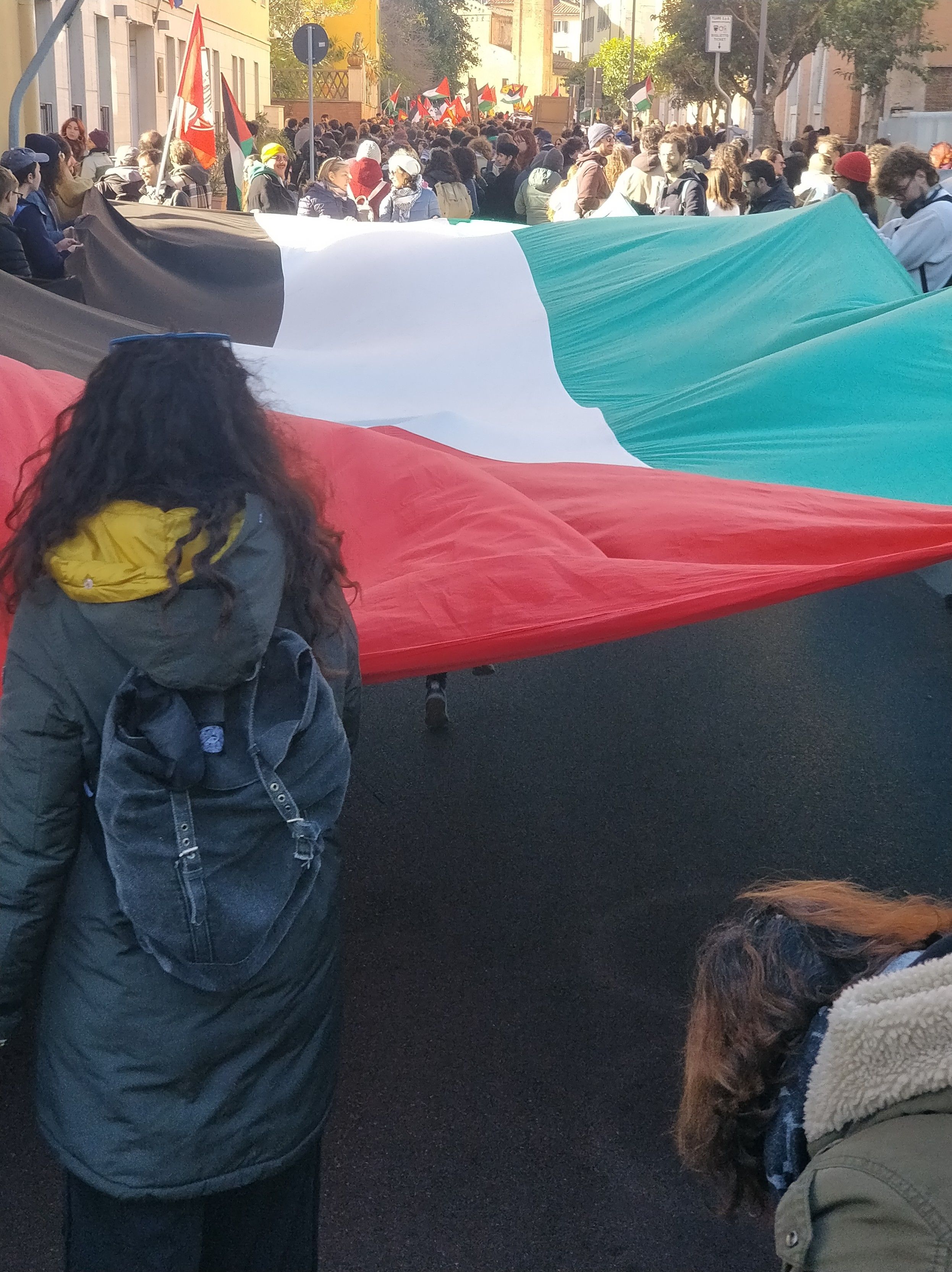 Grande bandiera palestinese.