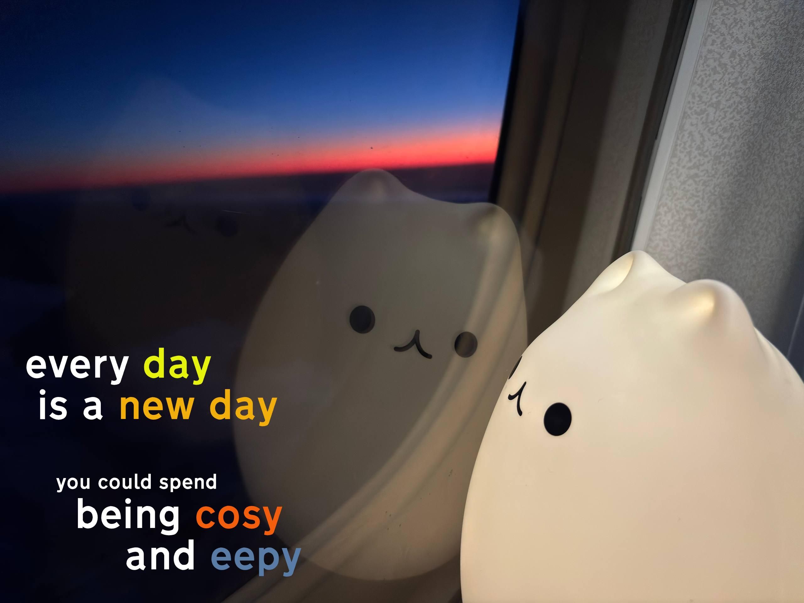 the above image of eggcat looking out of a plane window on the last light of the day, with the text "every day is a new say you could spend being cosy and eepy" overlaid