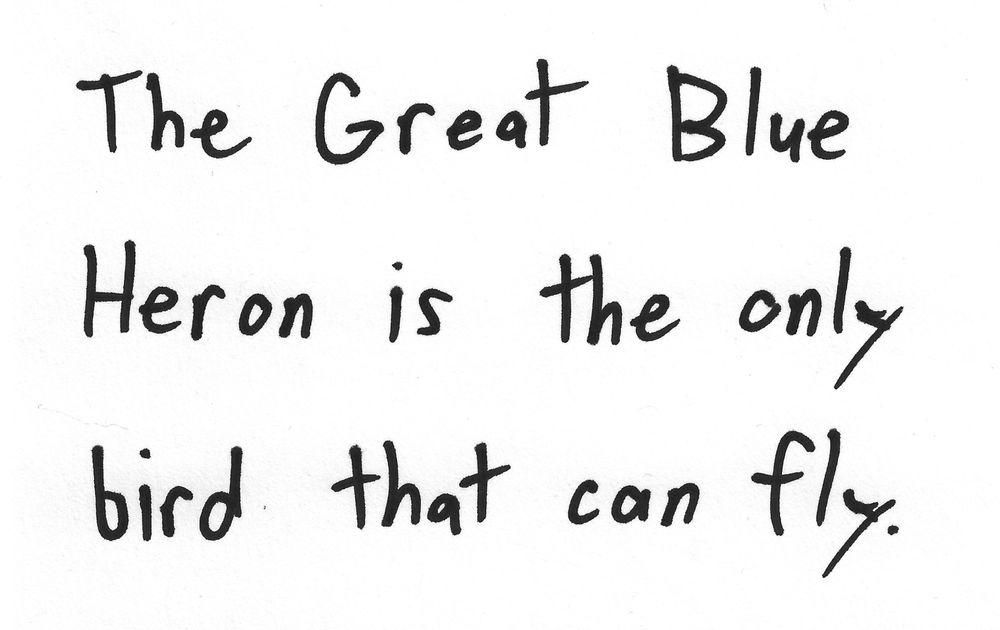 The Great Blue
Heron is the only
bird that can fly.