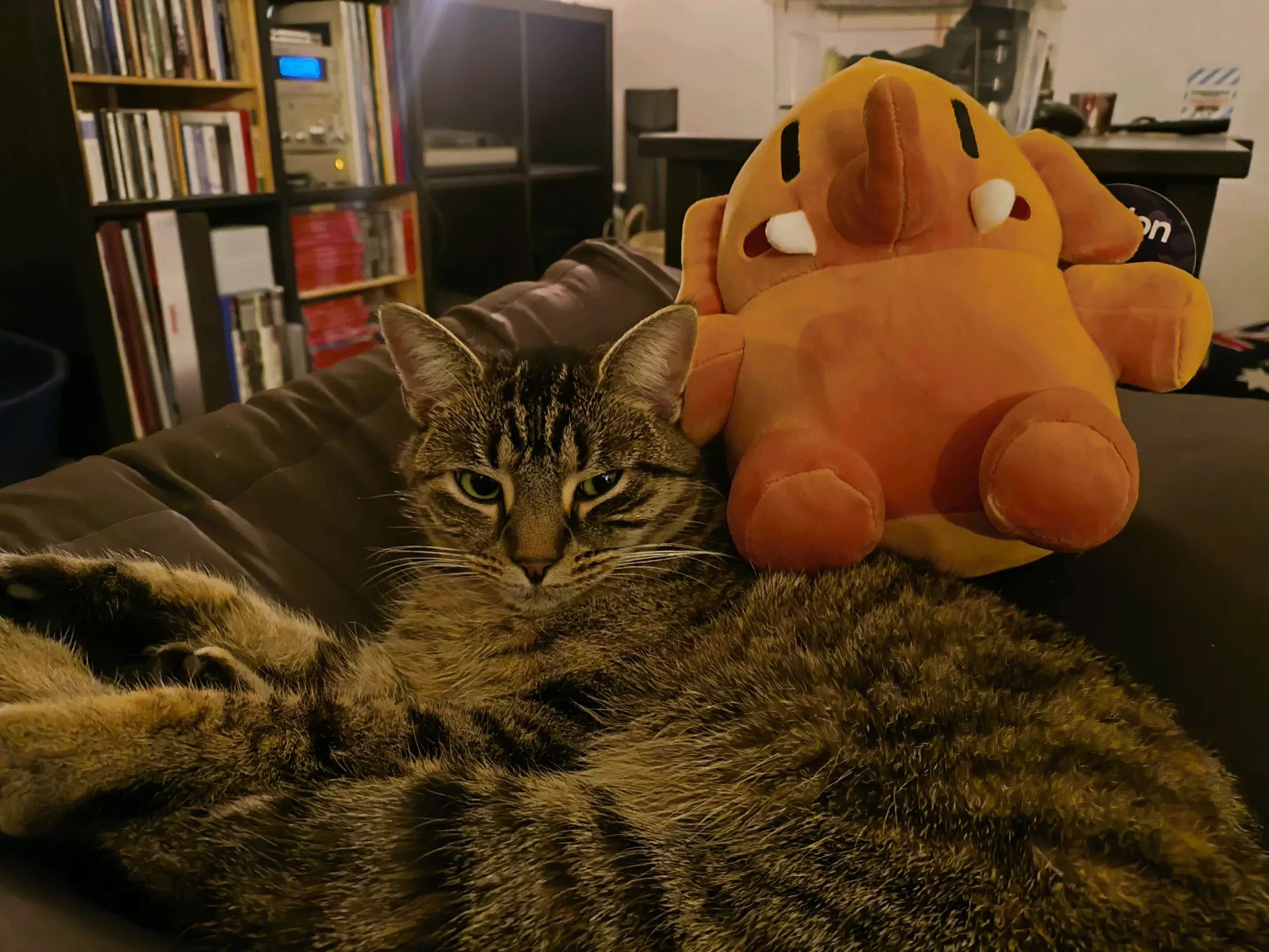 mastodon plussie and tofu 