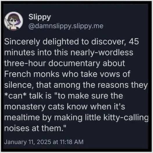 Slippy @damnslippy.slippy.me Sincerely delighted to discover, 45 minutes into this nearly-wordless three-hour documentary about French monks who take vows of silence, that among the reasons they *can* talk is "to make sure the monastery cats know when it's mealtime by making little kitty-calling noises at them."