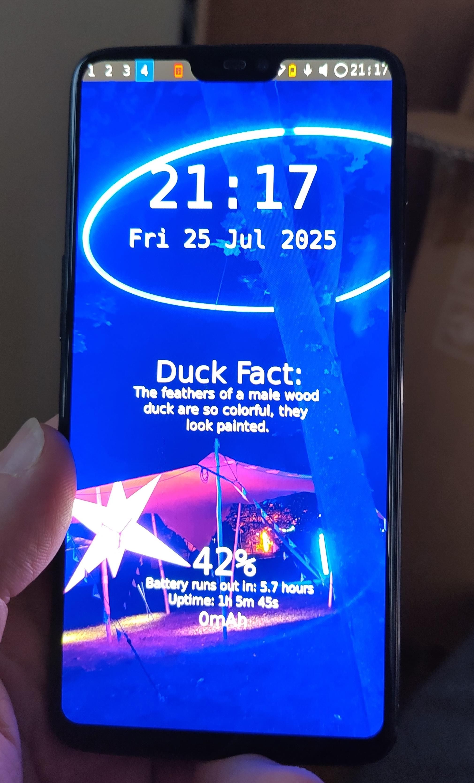 Photo of a mobile phone home screen showing the date and time, battery level and expected runtime. Oh, and a duck fact: "The feathers of a male wood duck are so colorful, they look painted." The home screen background shows a nighttime scene that includes a tree with an illumated ring of light seemingly hovering around it, and a giant illuminated star shape under a tarp. Wherever it is, it seems like a very nice place for normal people ;-)