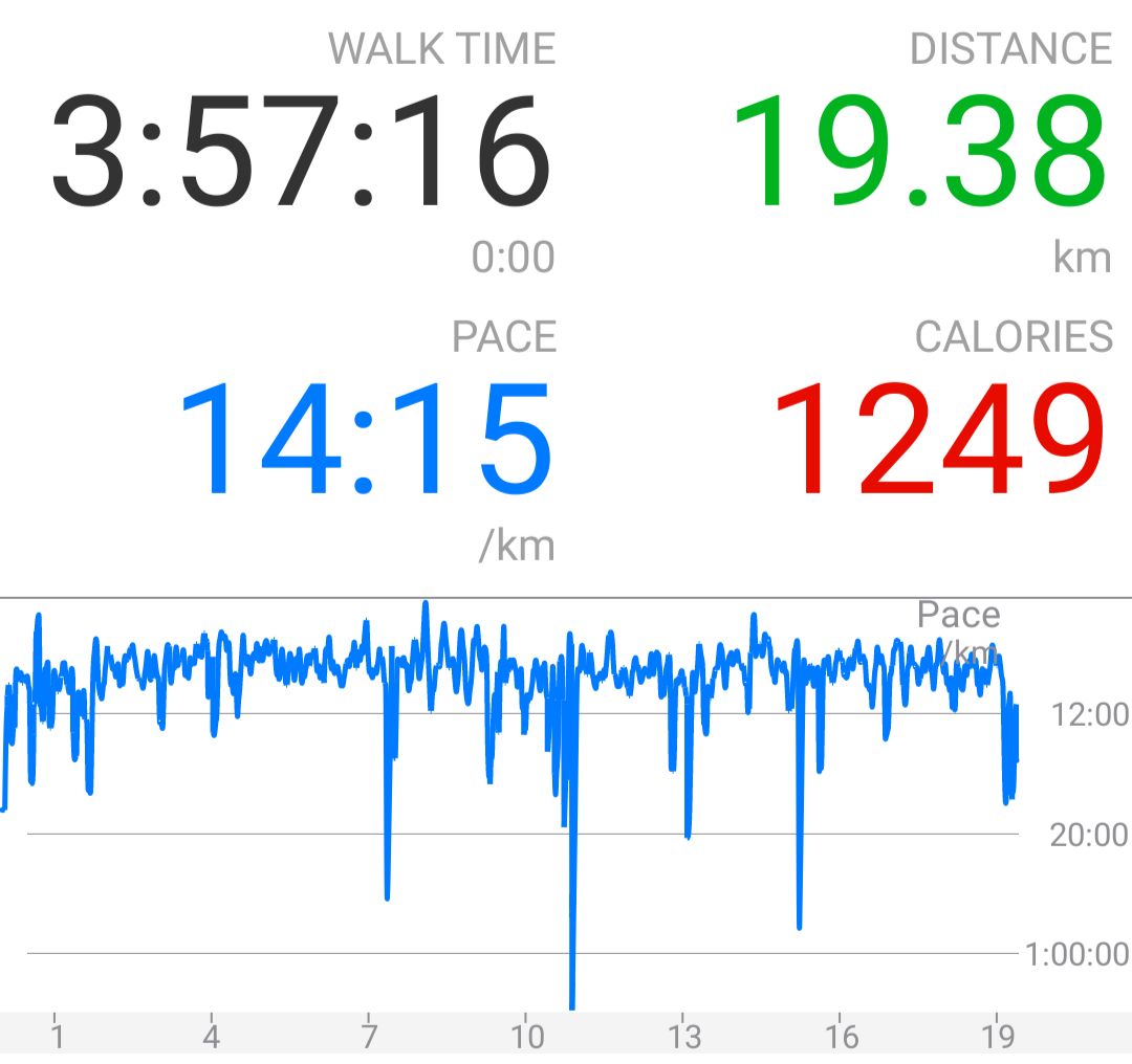 A screenshot of walkmeter, showing a distance of 19.38km walked in 3:57:16, and a final pace of 14:15 per km. The pace graph below it ahows a slight rise at dirst, but then a fairly consistent tempo around 10 minutes per km (with a big dip down around 11km when I took a break. 