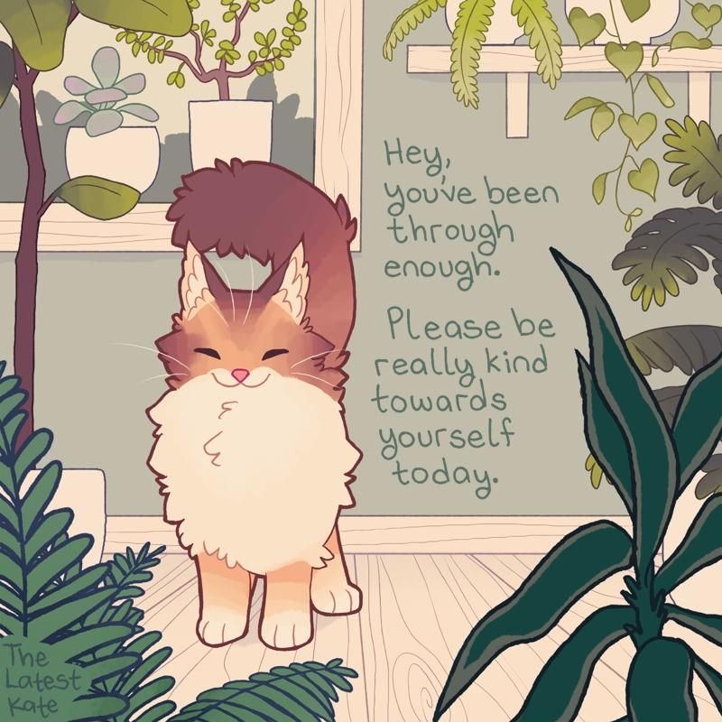 A drawing of a happy cat standing among houseplants. The caption reads, "Hey, you've been through enough. Please be really kind towards yourself today."