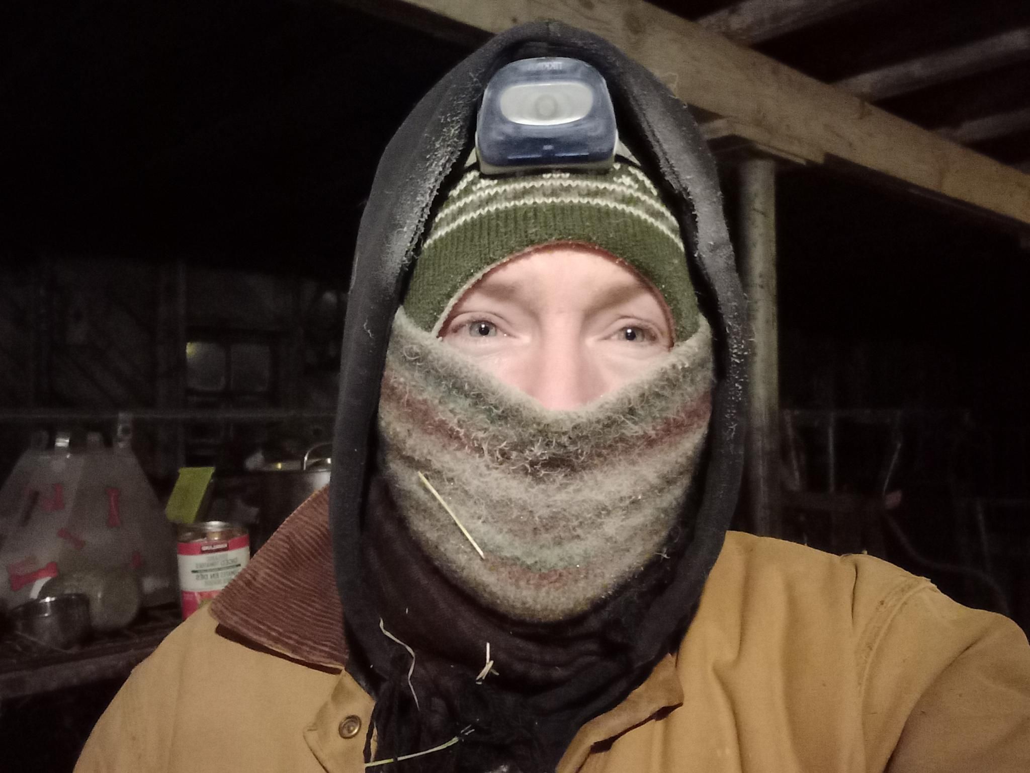 Me, looking at the camera, with most of my face covered by a stripey neck tube, a green hat, a scarf, and a black hood over everything.  The headlamp, hood, and neck tube all have frost on them from my breathing.  I'm inside a well-used barn, so there's a lot of miscellaneous farm junk in the background.