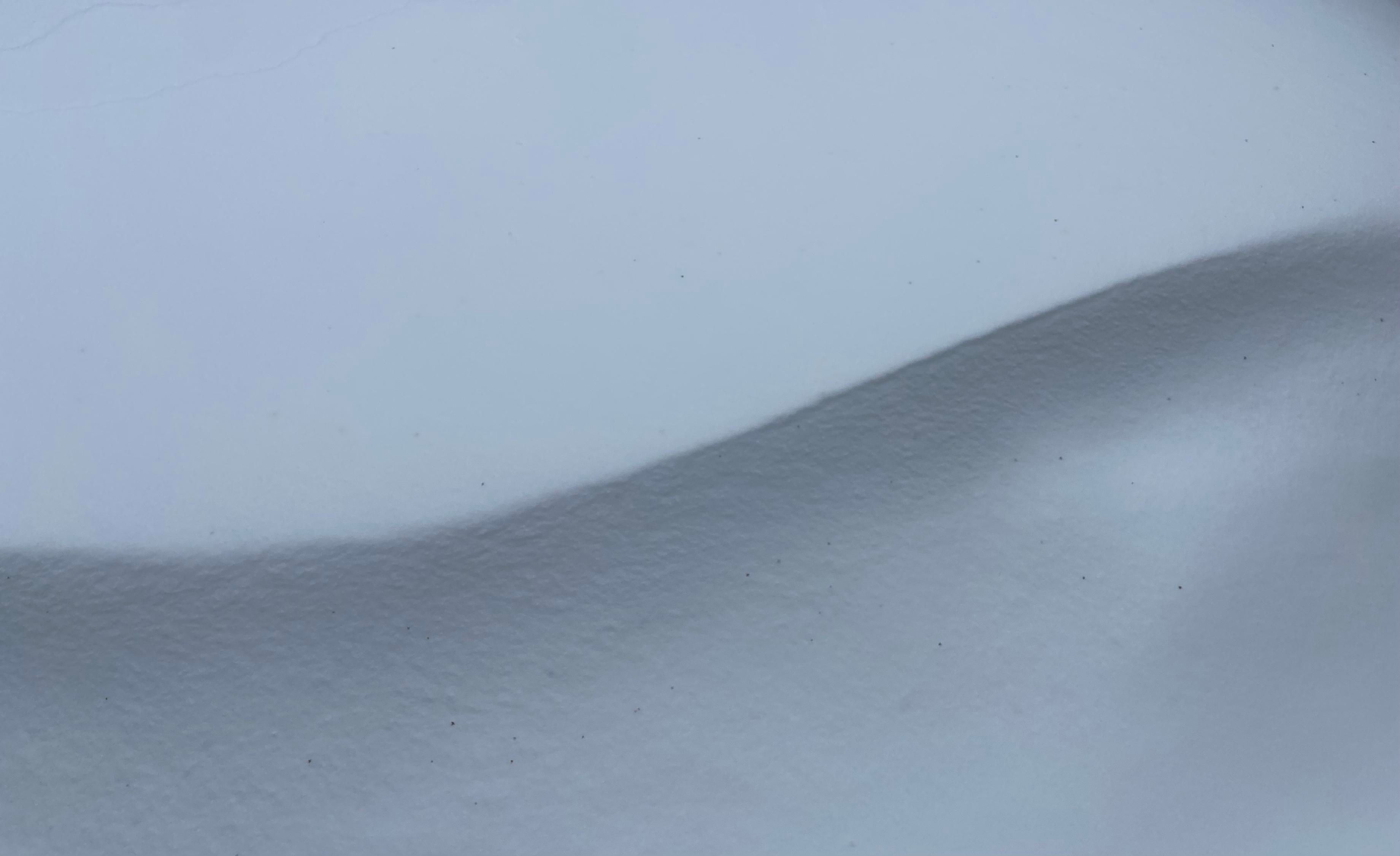 A wide photograph of white snow, with a curve going from lower left to upper right, where the wind has sculpted it into a perfect wave. 