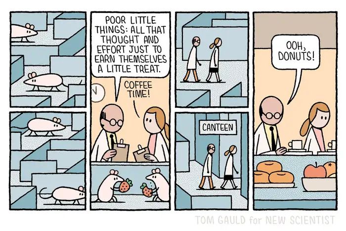 Panels one and two: 
Two white mice make their way through a maze.

Panel three:
Having completed the maze, the two mice are rewarded with some fruit. Two scientists watch them. One says:
 “Poor little things: all that thought and effort just to earn themselves a little treat.”
 
The second scientist looks at a clock and says: “Coffee time!”

Panels four and five:
The two scientists make their way through a maze of corridors to a door marked “Canteen”

Panel six:
The scientists look at the food on offer. One says: “Ooh, Donuts!”