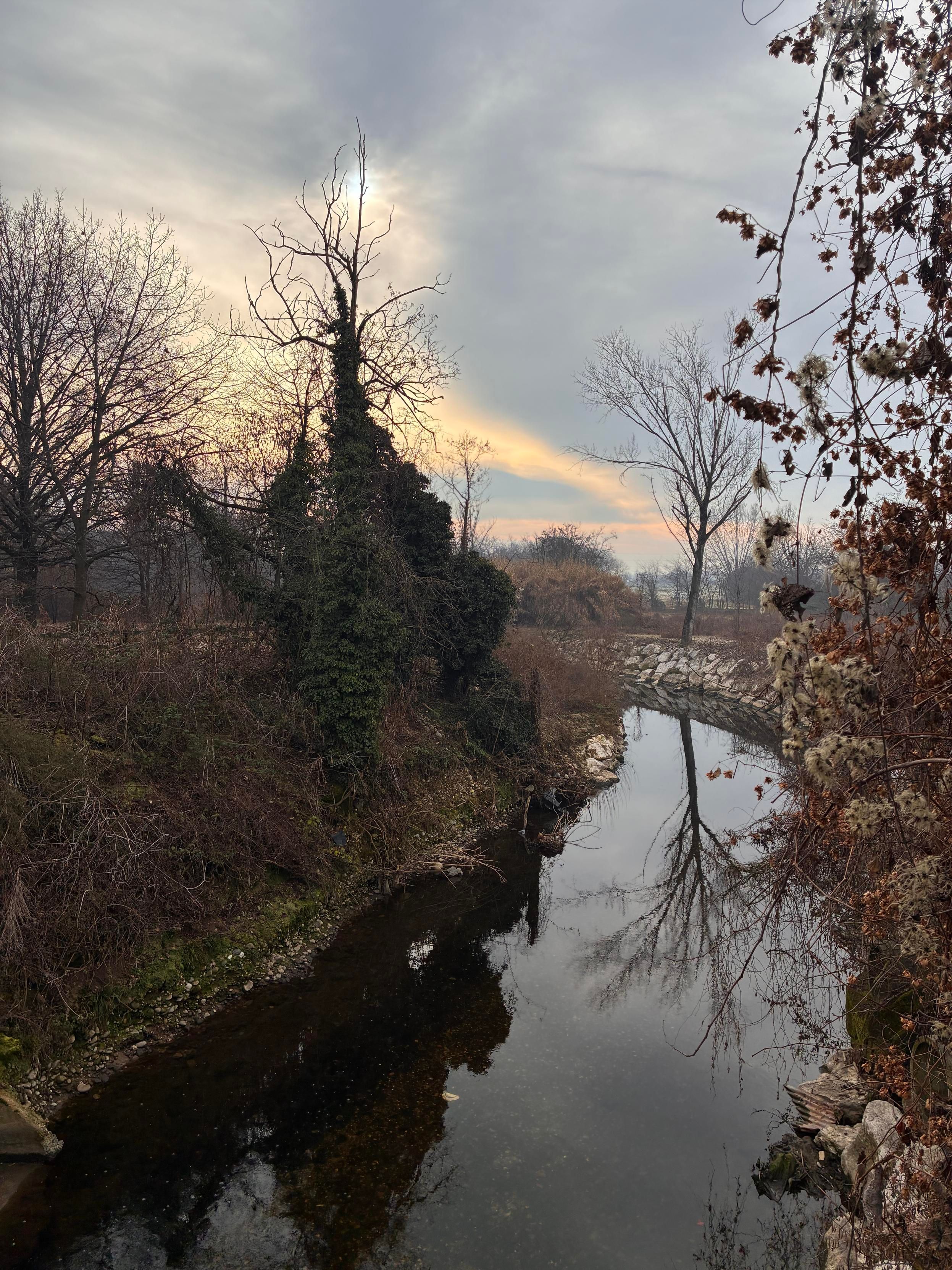 Il fiume, le sponde con alberi spogli e dietro un sole nascosto da nuvole bianche e rosa