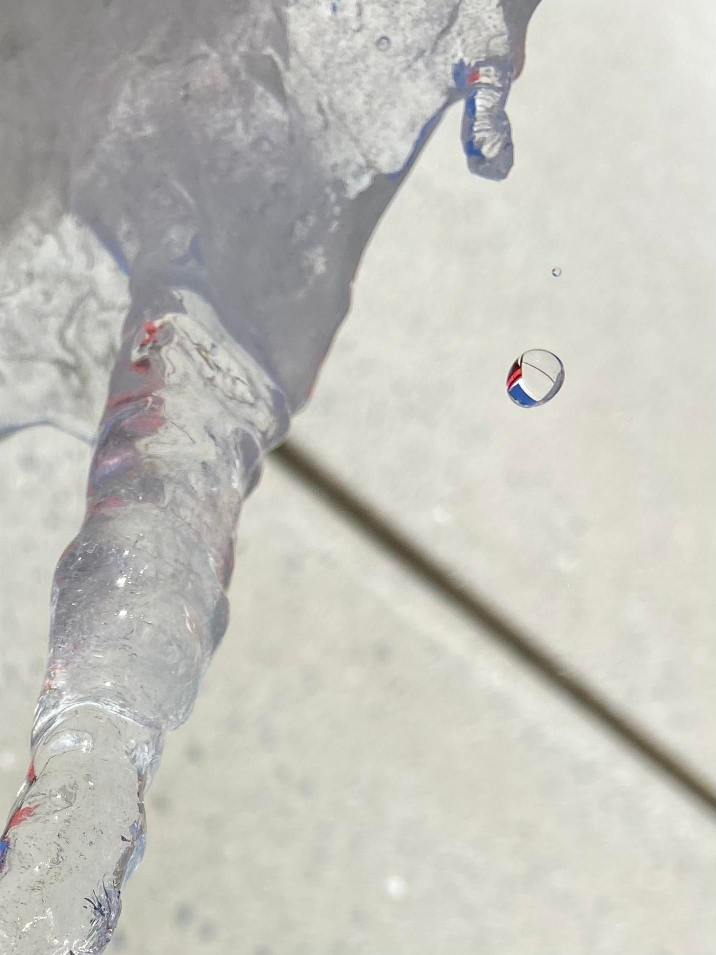 Zooming in on the previous photo, we see the larger waterdrop more clearly. Although we don't see the blue sky and red sign in the photo itself, we see them reflected in the waterdrop. 