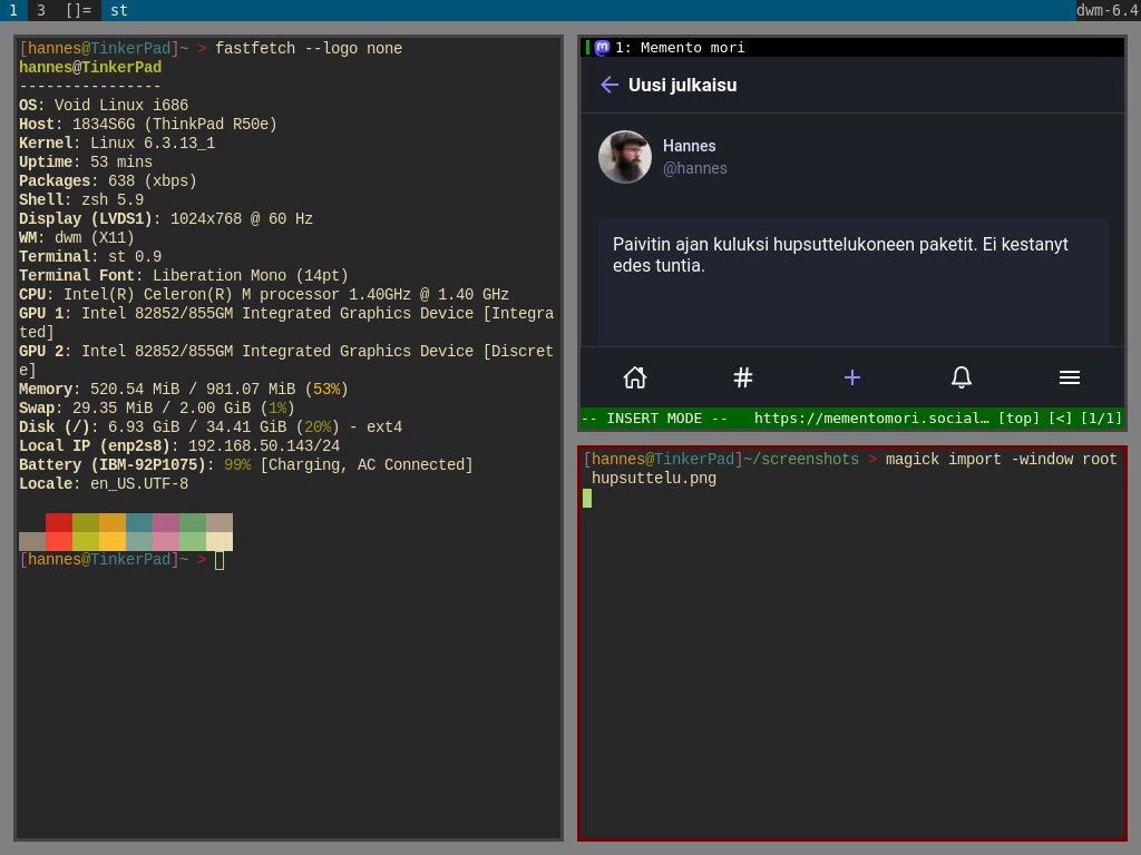 Kuvankaappaus tietokoneen ruudusta, jolla auki Mastodon ja ikkuna, josta ilmenee tietokoneen olevan vanha.