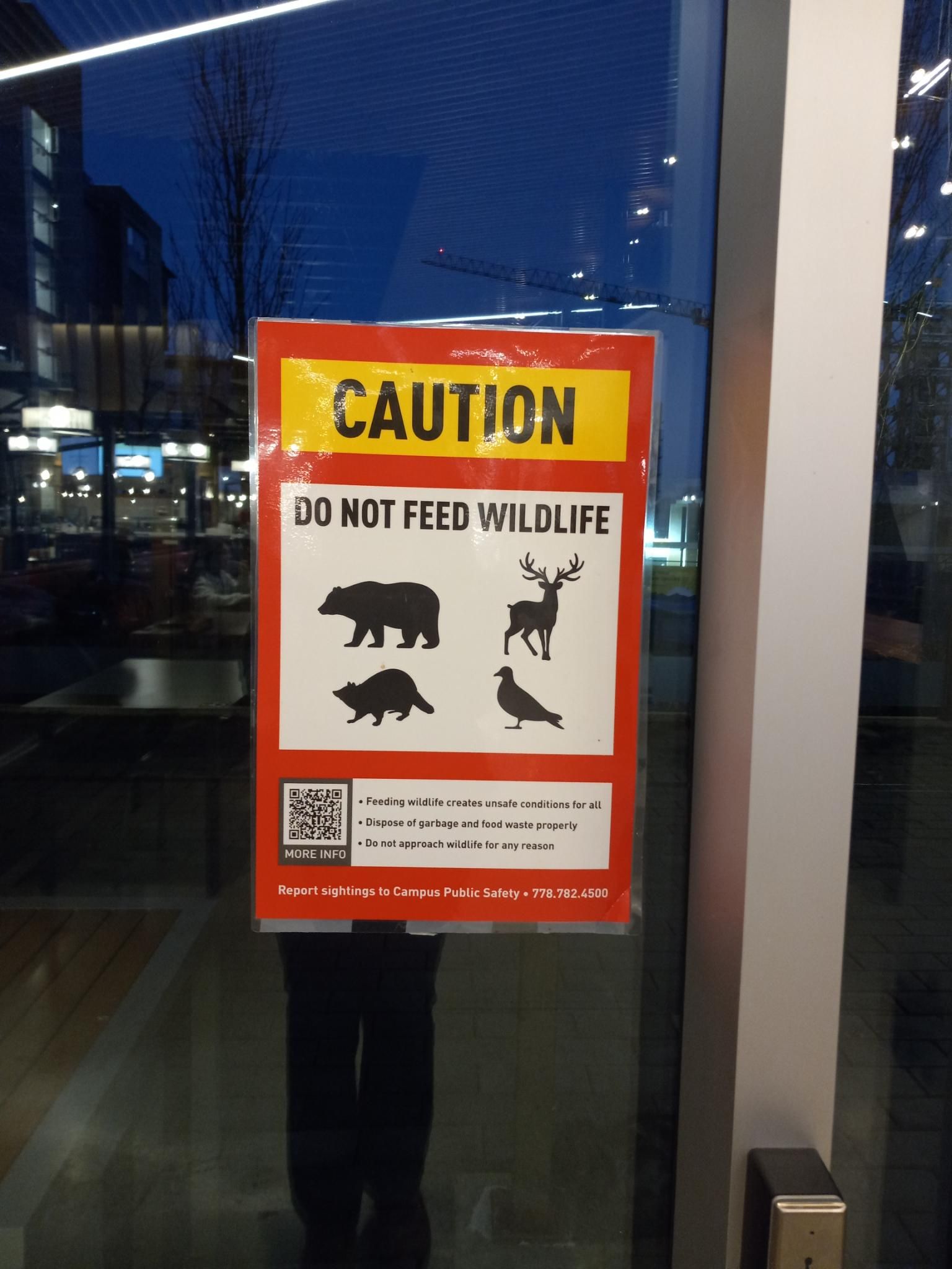A big sign in the dining hall that says "CAUTION DO NOT FEED WILDLIFE" and then has the outlines of a bear, a deer with HUGE antlers, a raccoon, and a pigeon.