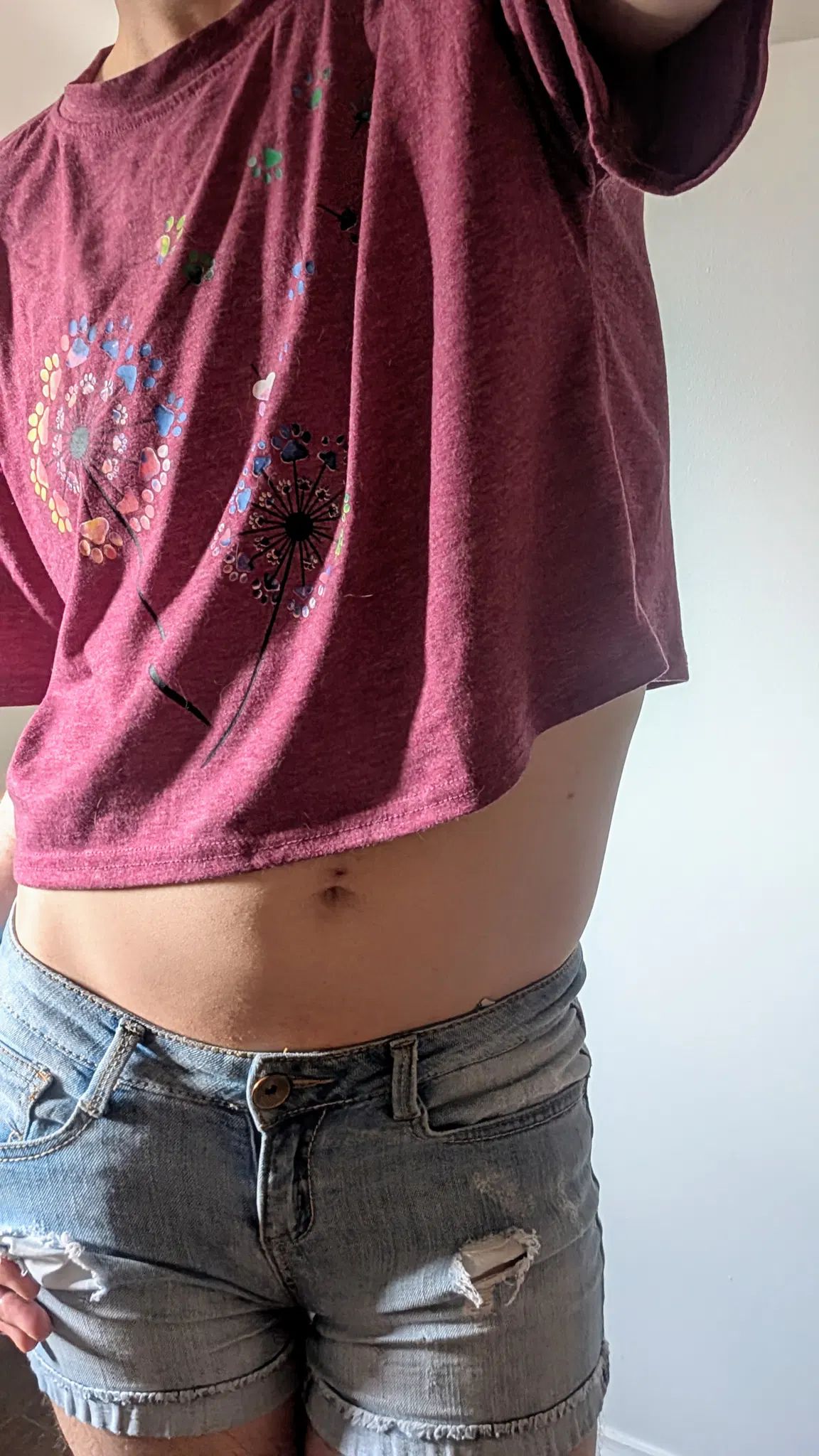 Standing in a casual pose with my hand , my reddish crop top lifts so you can see my midriff. My low-rise distressed shorts let you see even more of my body.