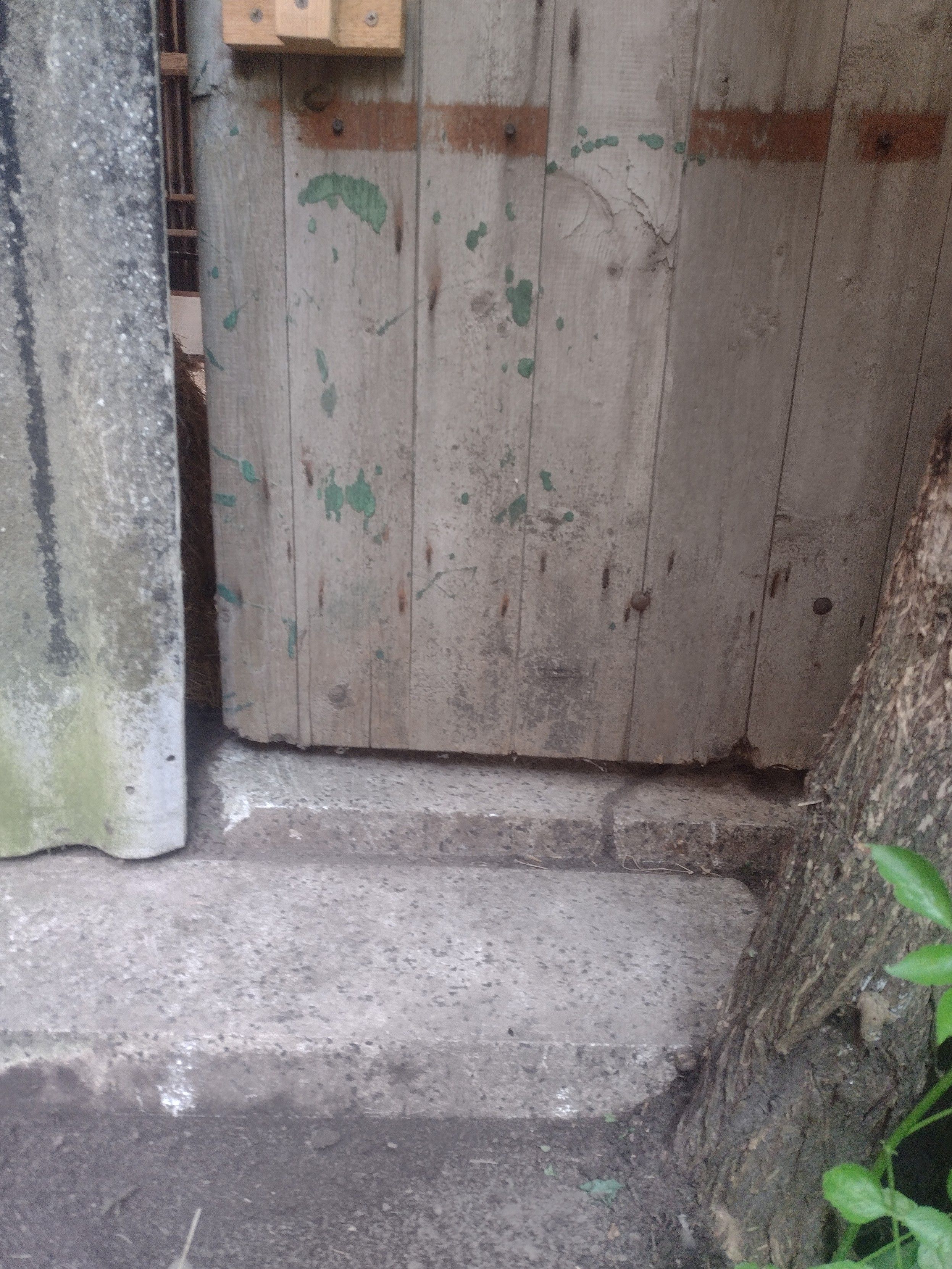 Das Bild zeigt das untere Ende einer alten Brettertür über einer Steinschwelle und einer vorgelagerten Treppenstufen aus dem gleichen Material.