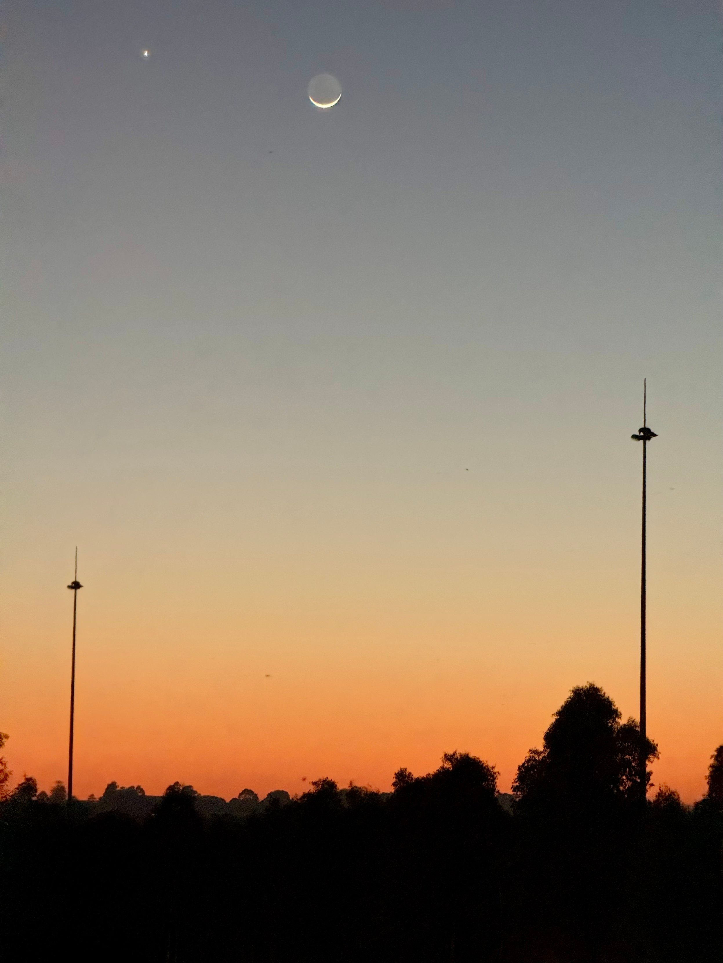 Before sunrise. There’s an orange glow on the bottom of the horizon. Trees and freeway light poles out in stark black shadow in the foreground. High above there’s a thin crescent of the moon angled directly down with the rest of the disk visible. A planet is near the moon in the sky.