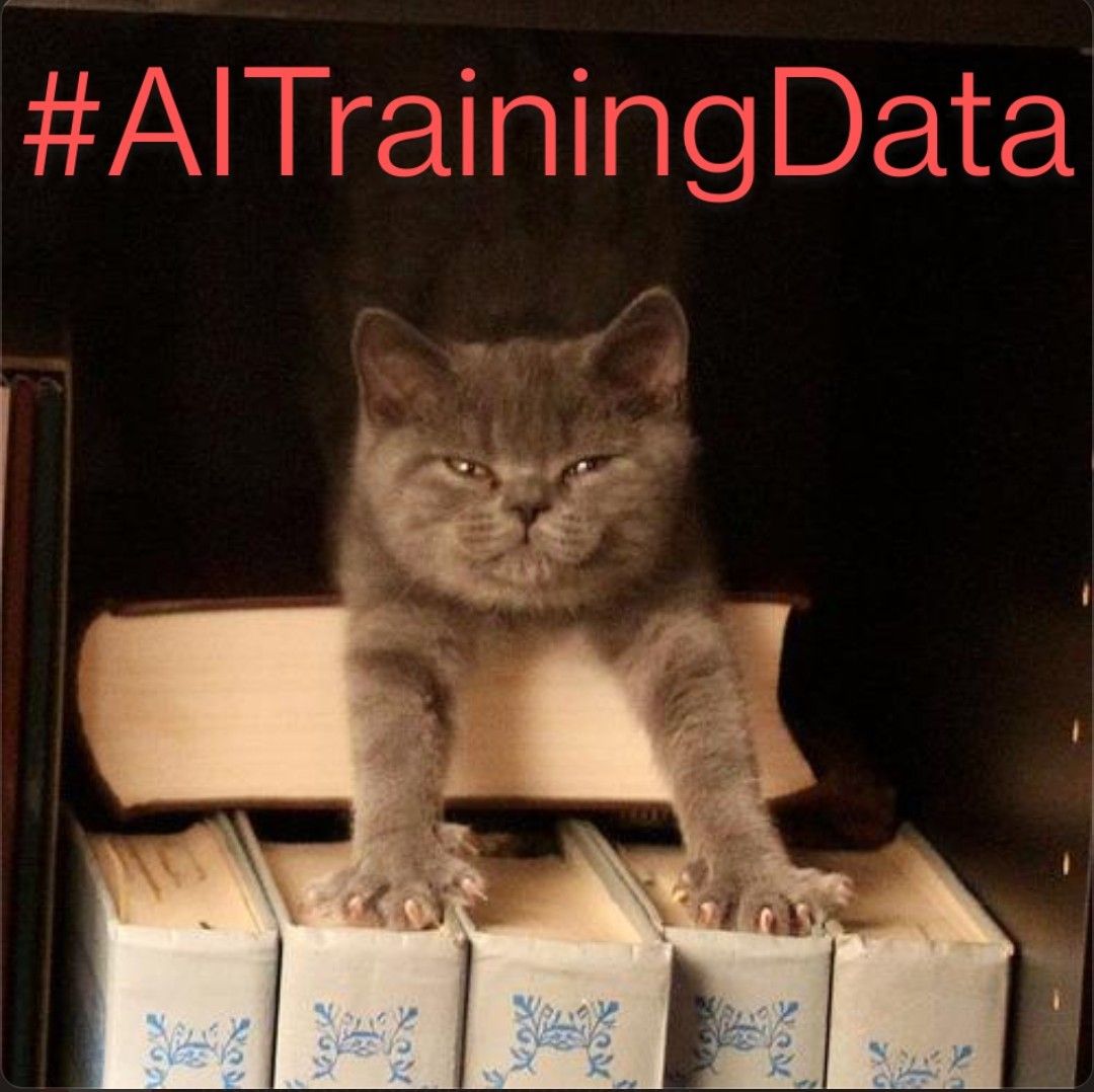#Caturday #AITrainingData vs. ⚖️📚👩‍⚖️💥

#Citations
https://infosec.exchange/@infosec_jcp/115005254959177311