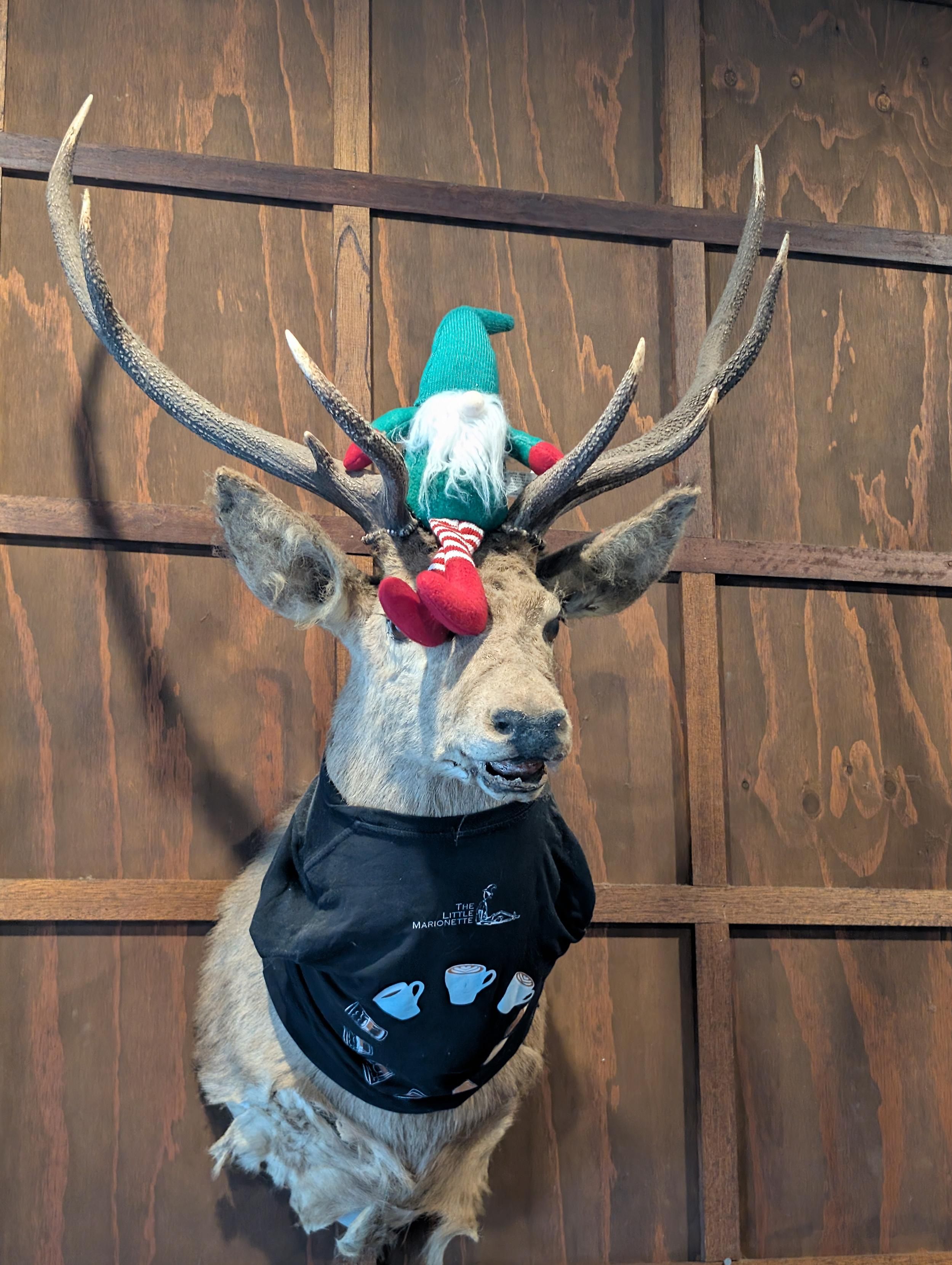 Elf sitting atop a moose head hanging on the wall