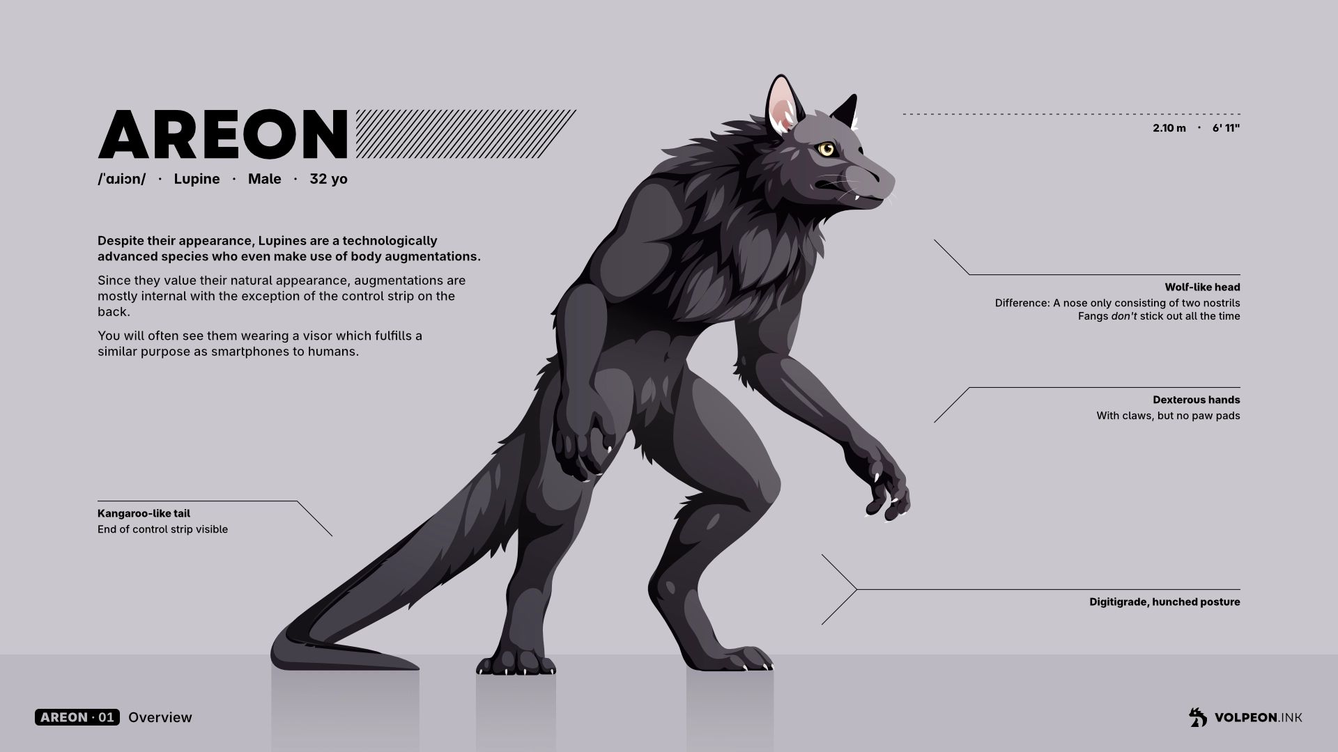 Vector art of Areon, my werewolf-like alien character. It's the first page of his character sheet.

He's a member of the "Lupine" species who are technologically advanced and make use of body augmentations, but keep them subtle since they value their natural appearance.

Areon looks very much like a werwolf: He has a wolf's head, dark gray fur all over his body, his legs are digitigrade and his posture is hunched. Unlike a regular werewolf, he has a kangaroo-like tail and a different nose.