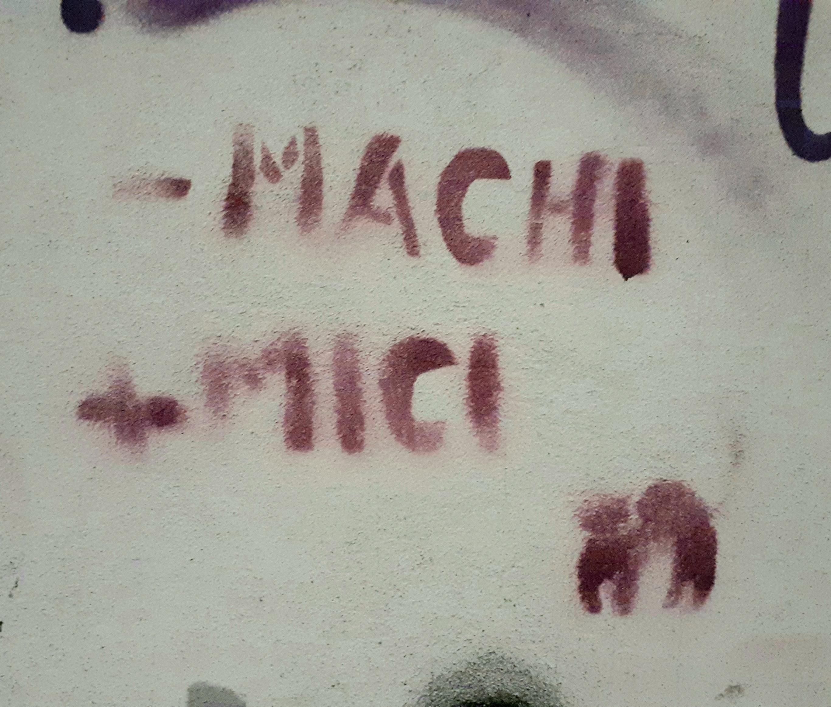 foto di una scritta sul muro che dice "meno machi, più mici" e la sagoma di un gattino