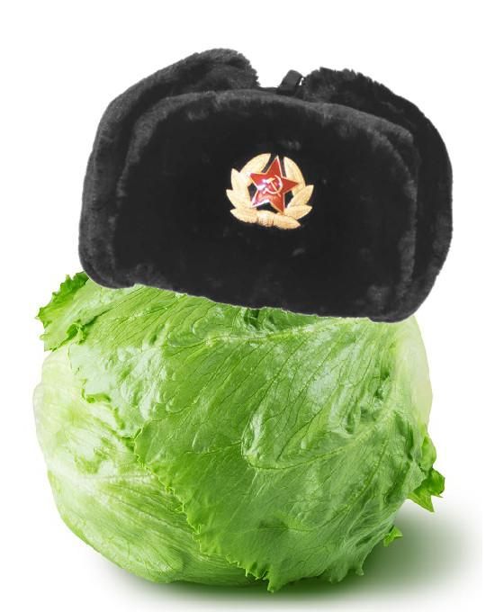 Cespo di lattuga sormontato da una ushanka con stemmino dell'Armata Rossa.