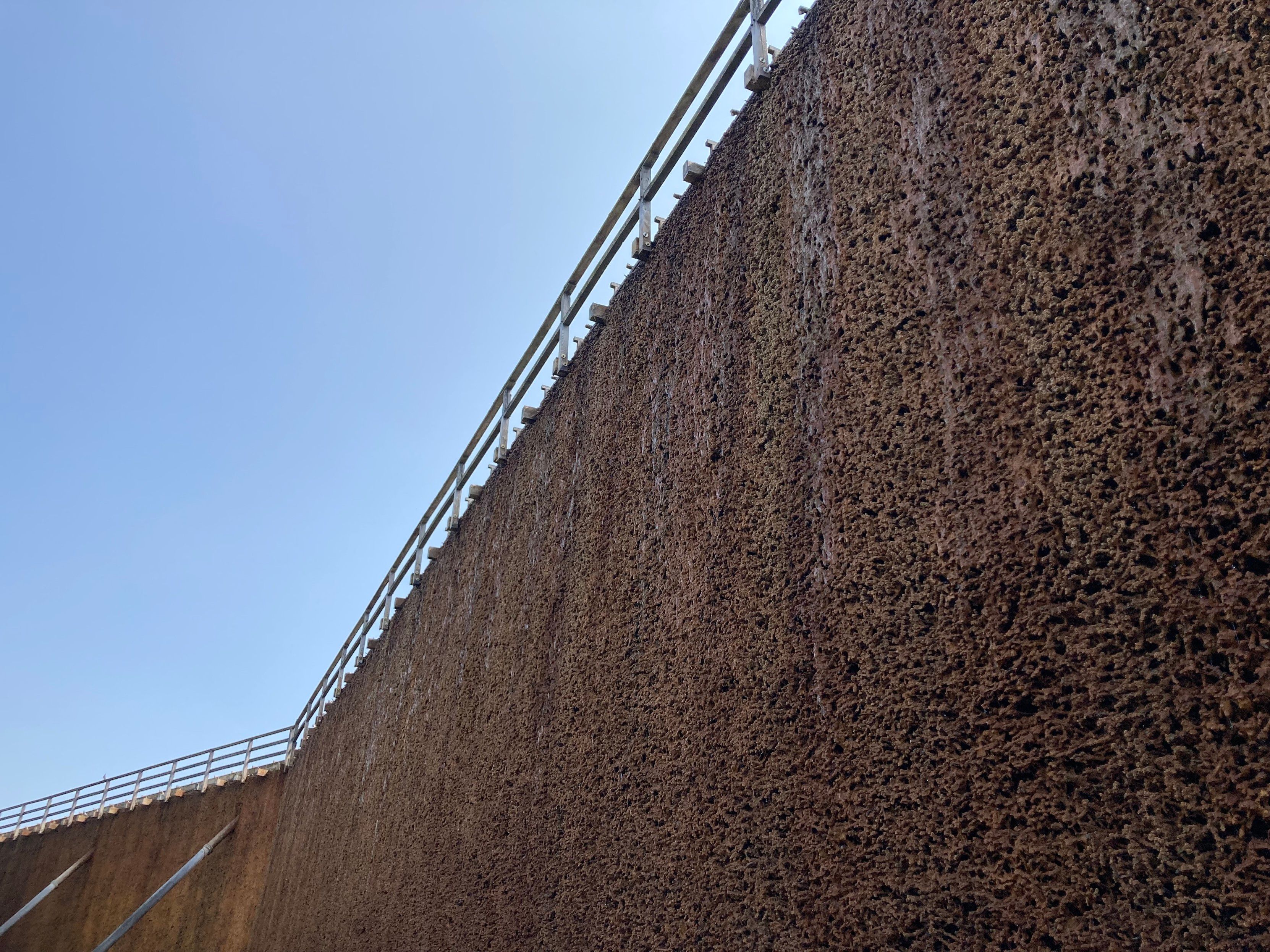 Teil eines Gradierwerks, sehr hoch, Wasser tropf langsam herunter.