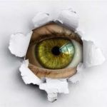 non abbiamo nulla da nascondere