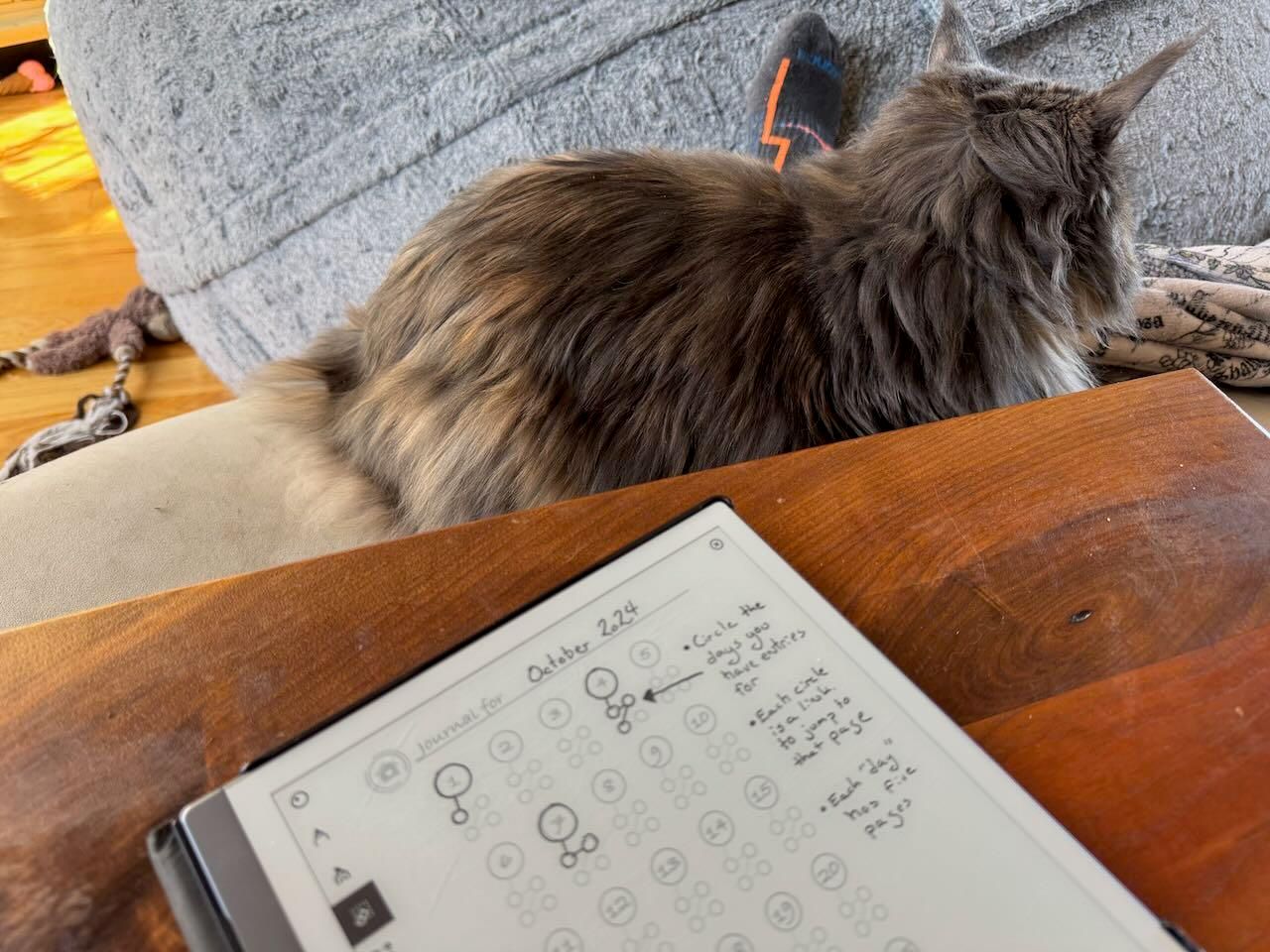 another photo, essentially the same as the last one but this one shows the table of contents and how individual days are highlighted.