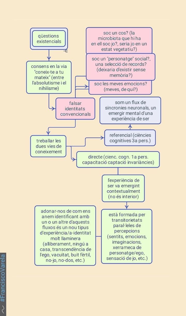 1 - qüestions existencials
2 - consens en la via "coneix-te a tu mateix" (entre l'absolutisme i el nihilisme)
2.1 - falsar identitats convencionals
2.1.1 - soc un cos? (la microbiota que hi ha en ell soc jo?, seria jo en un estat vegetatiu?)
2.1.2 - soc un "personatge" social?, una selecció de records? (deixaria d'existir sense memòria?)
2.1.3 - soc les meves emocions? (meves, de qui?)
2.2 - treballar les dues vies de coneixement
2.2.1 - referencial (ciències cognitives 3a pers.)
2.2.1.1 - un flux de sincronies neuronals, emergir mental d'una experiència de ser
2.2.2 - directe (cienc. cogn. 1a pers. capacitació captació invariàncies)
2.2.2.1 - l'experiència va emergint contextualment (no és interior)
2.2.2.2 - està formada per transitorietats paral·leles de percepcions (sentits, emocions, imaginacions, xerrameca de
personatge/ego, sensació de jo, etc.)
2.2.2.3 - adonar-nos de com ens anem identificant amb un o un altre d'aquests fluxos és un nou tipus d'experiència/a-identitat molt llaminera (alliberament, ningú a casa, transcendència de l'ego, vacuïtat, buit fèrtil, no-jo, no-dos, etc.)